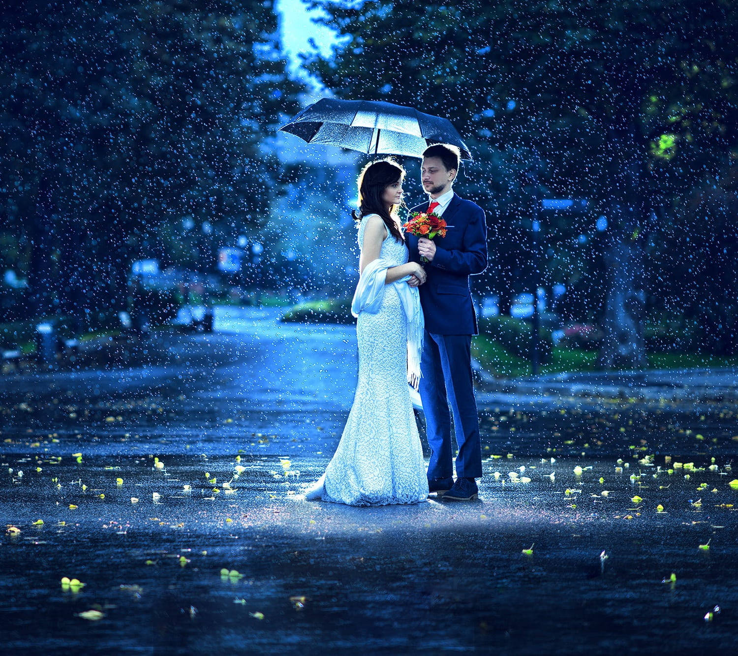 Rain Couple, bride and groom, dark blue park, HD Desktop Wallpaper
