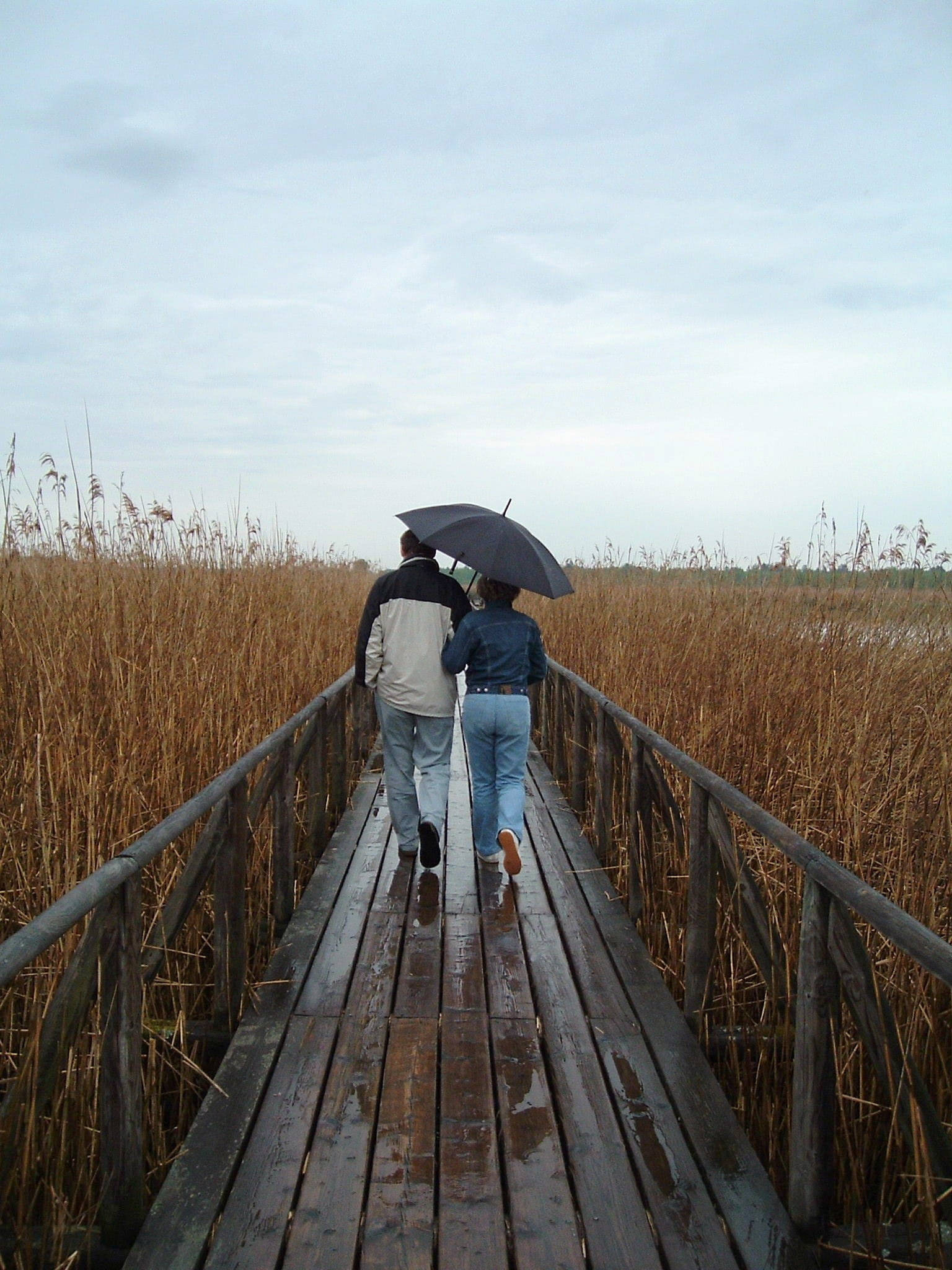 Rain Couple, wooden bridge, wet wooden boardwalk, Full HD Phone Wallpaper