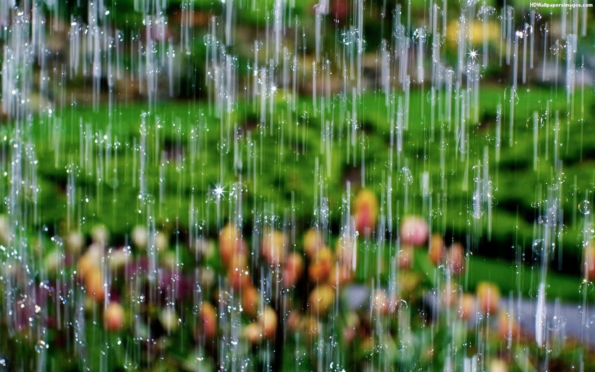 Rain Desktop, raindrops, lush green garden, Full HD Desktop Wallpaper
