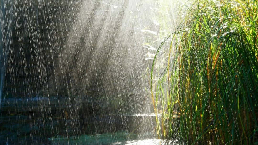 rain desktop, sunlight beams, falling raindrops, SD Desktop Wallpaper
