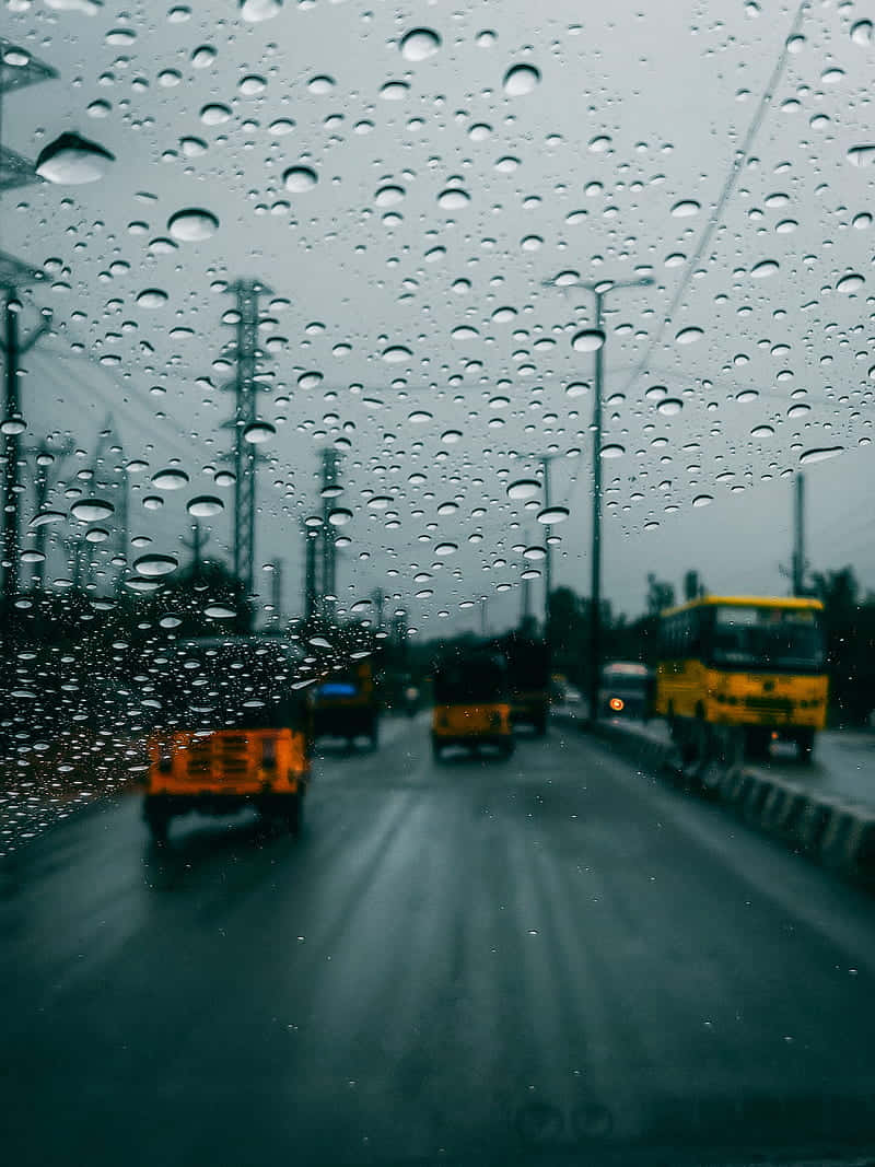 Rain Desktop, wet urban street, yellow buses, SD Phone Wallpaper