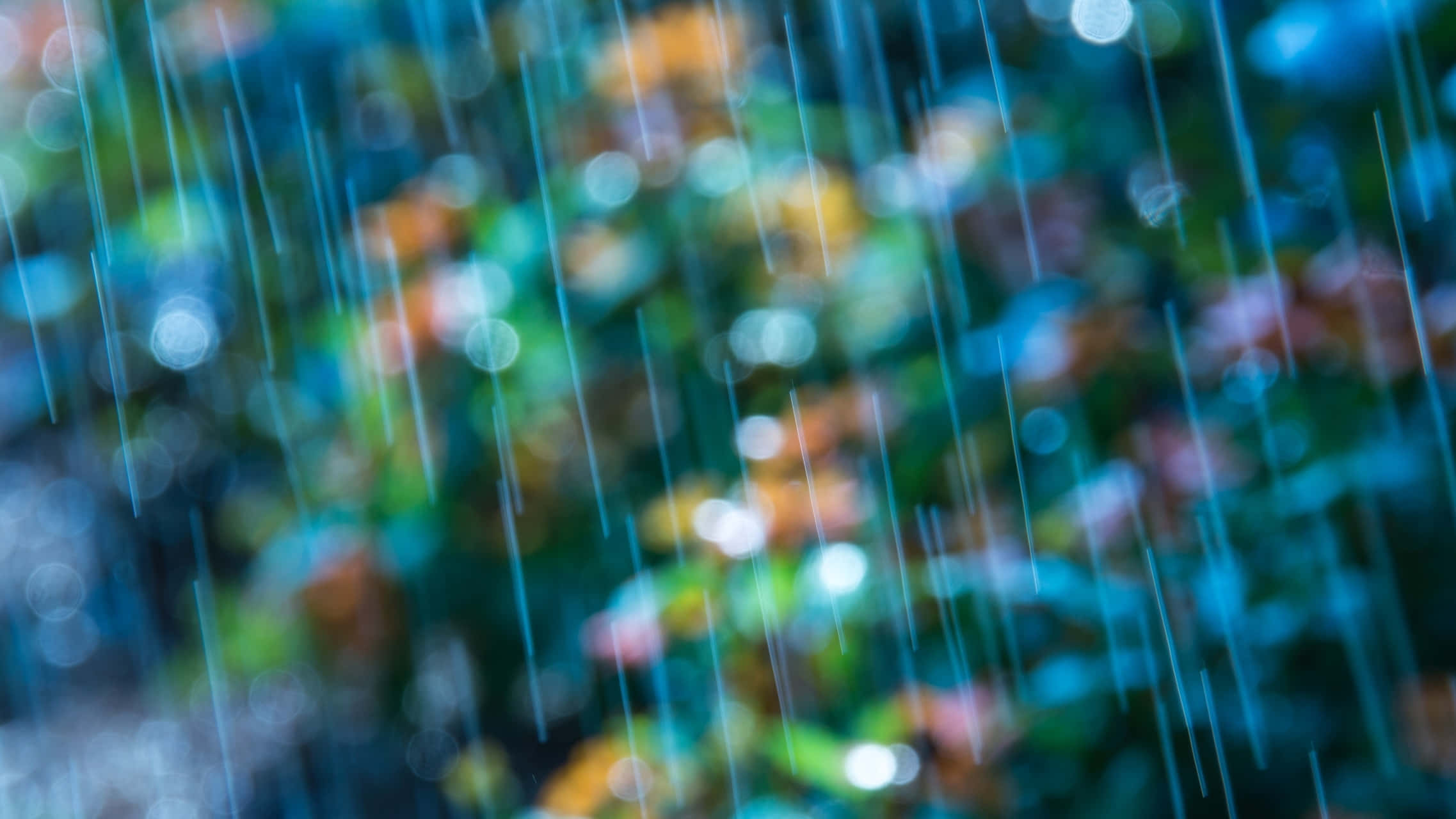 rain streaks, blurred backdrop, colorful foliage, Full HD Desktop Wallpaper
