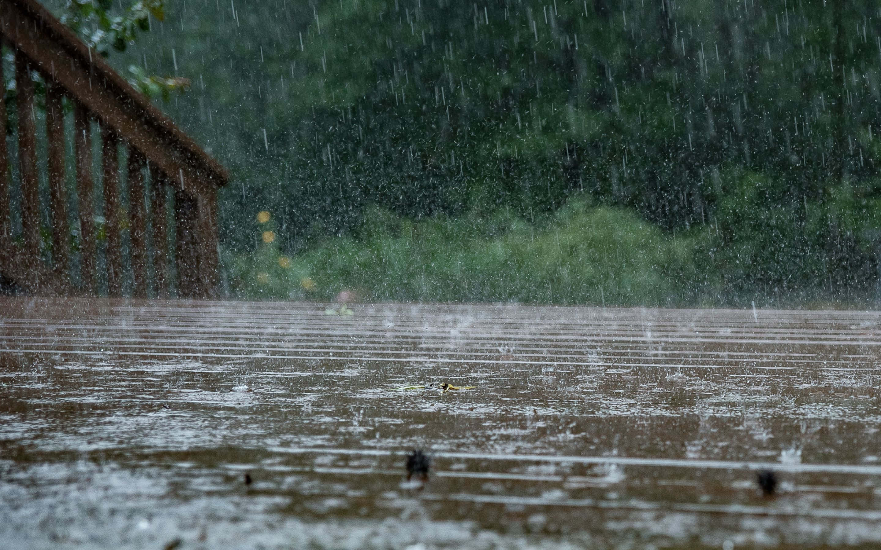 Rainy Wooden Deck Scene, heavy raindrops, wet wooden deck, 2K Desktop Wallpaper