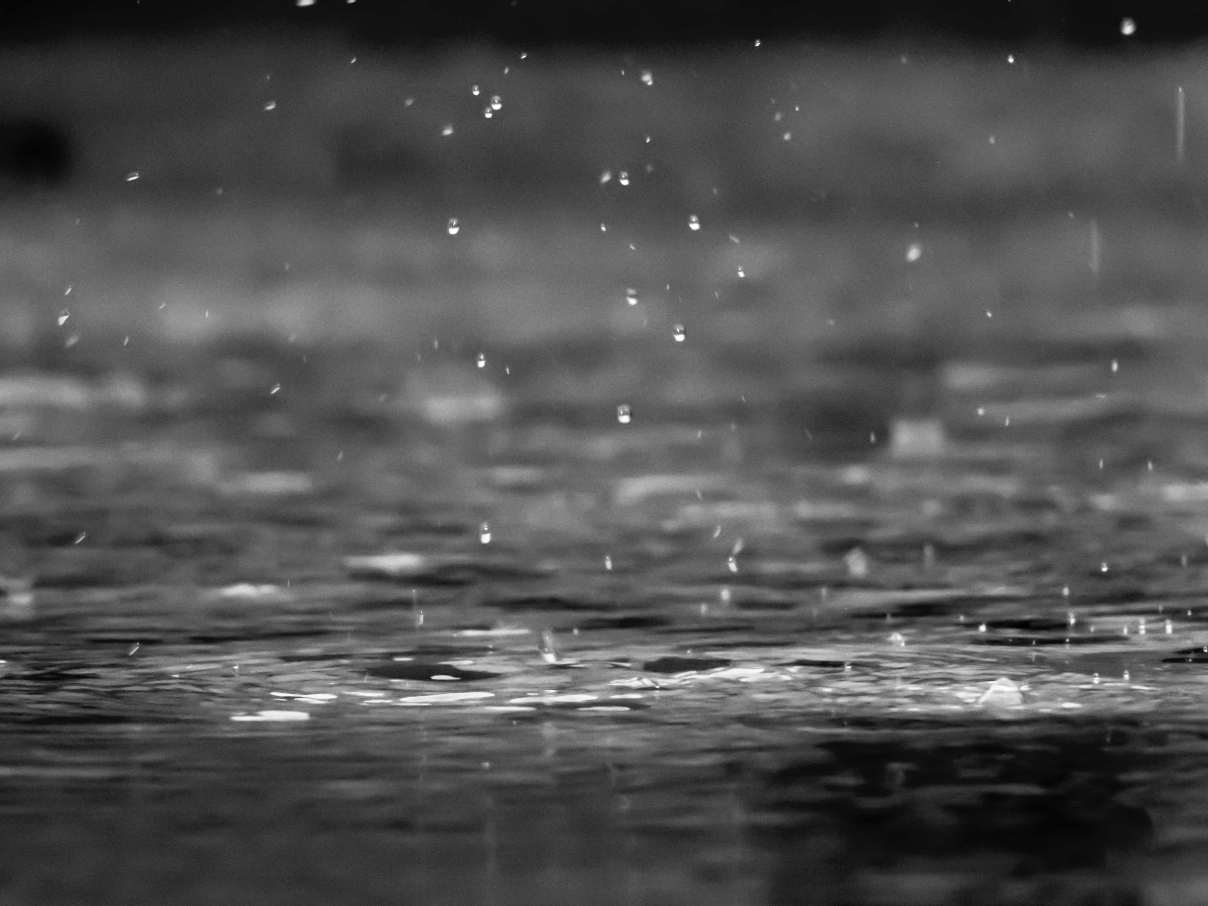 monochrome, raindrops, water surface, 4K Desktop Wallpaper