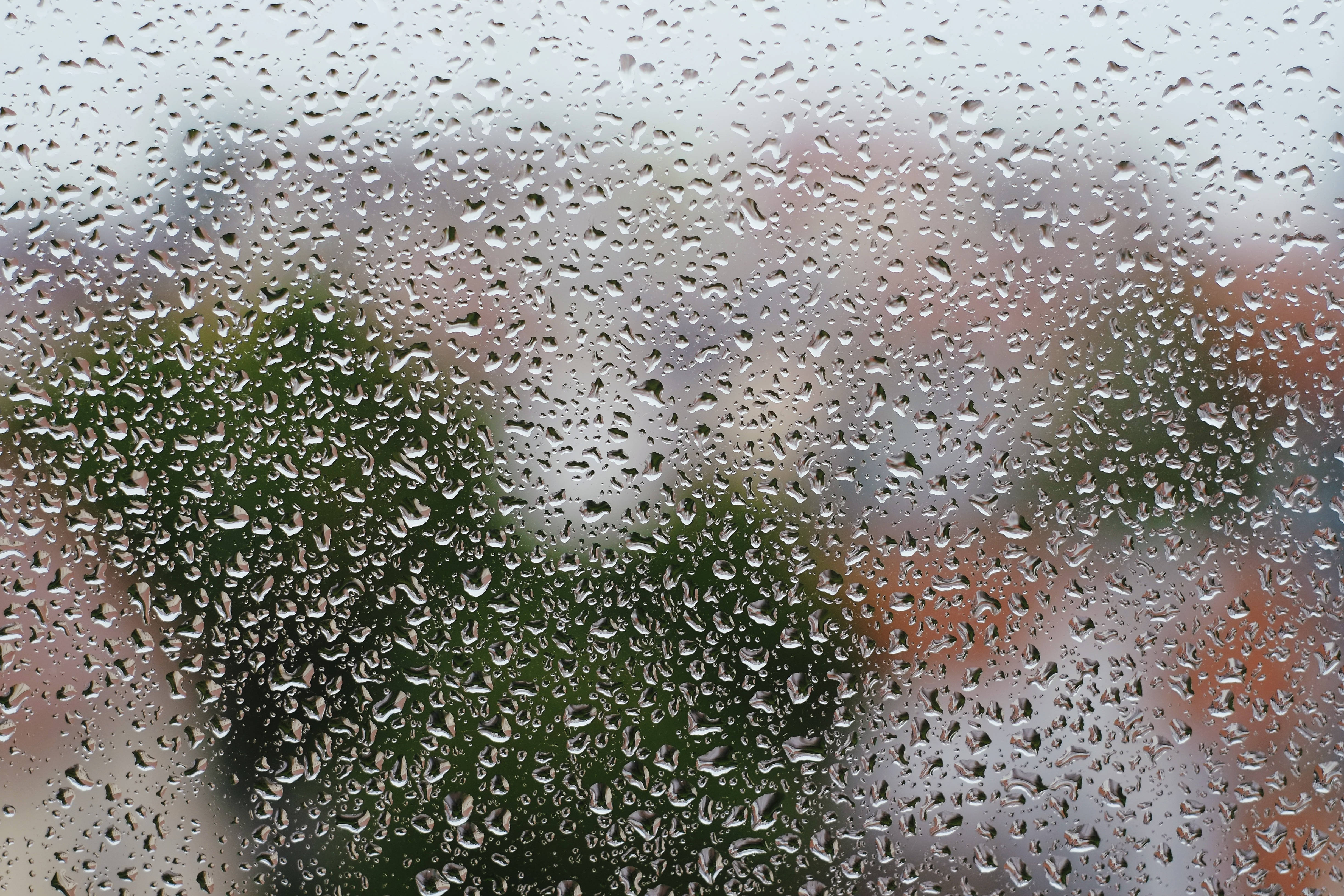 raindrops, glass pane, green foliage, 4K Desktop Wallpaper