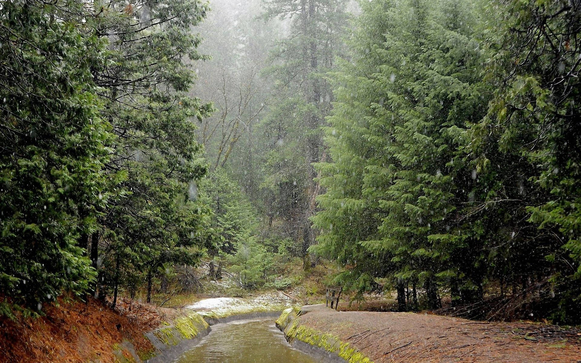 Rain, wood river, bad weather, Full HD Desktop Wallpaper