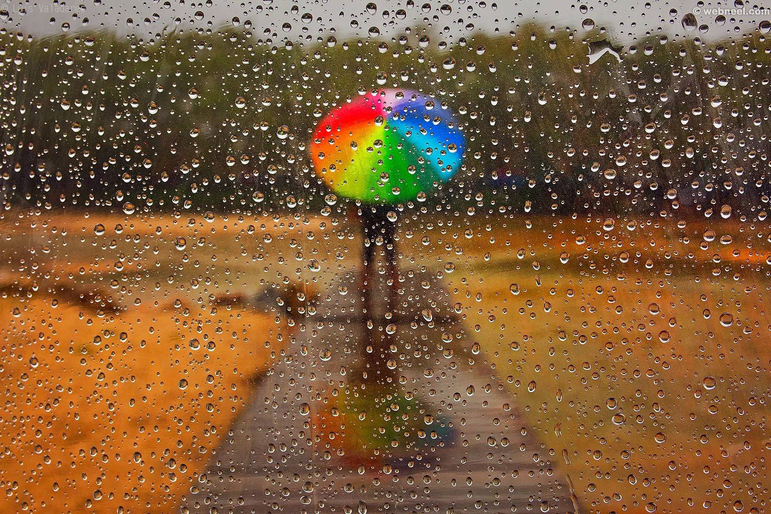 rainbow umbrella, wet path, rain-speckled window, HD Desktop Wallpaper