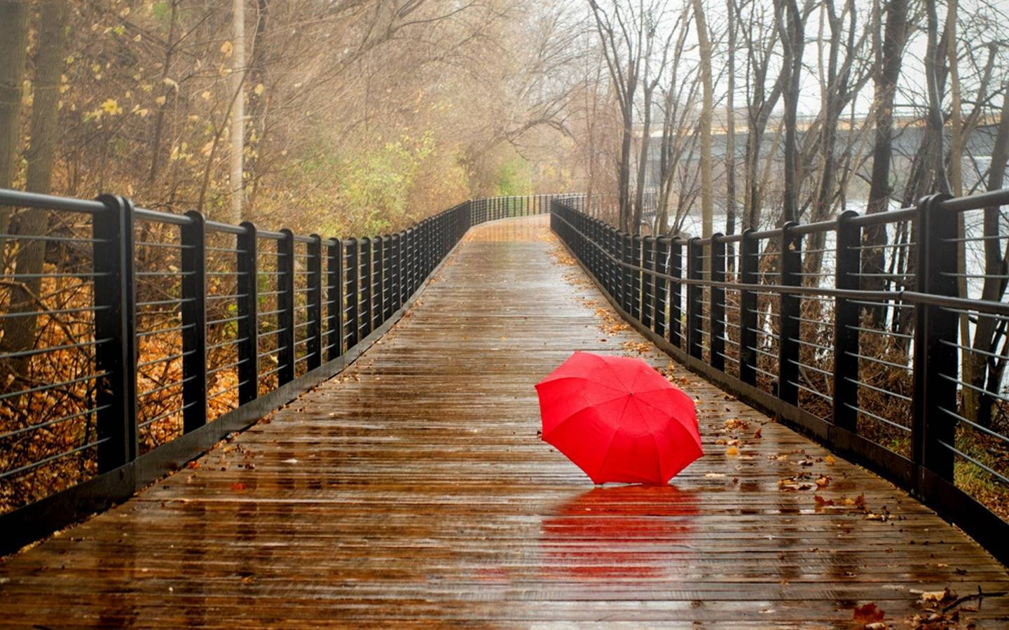 red umbrella, wet wooden bridge, autumn trees, HD Desktop Wallpaper