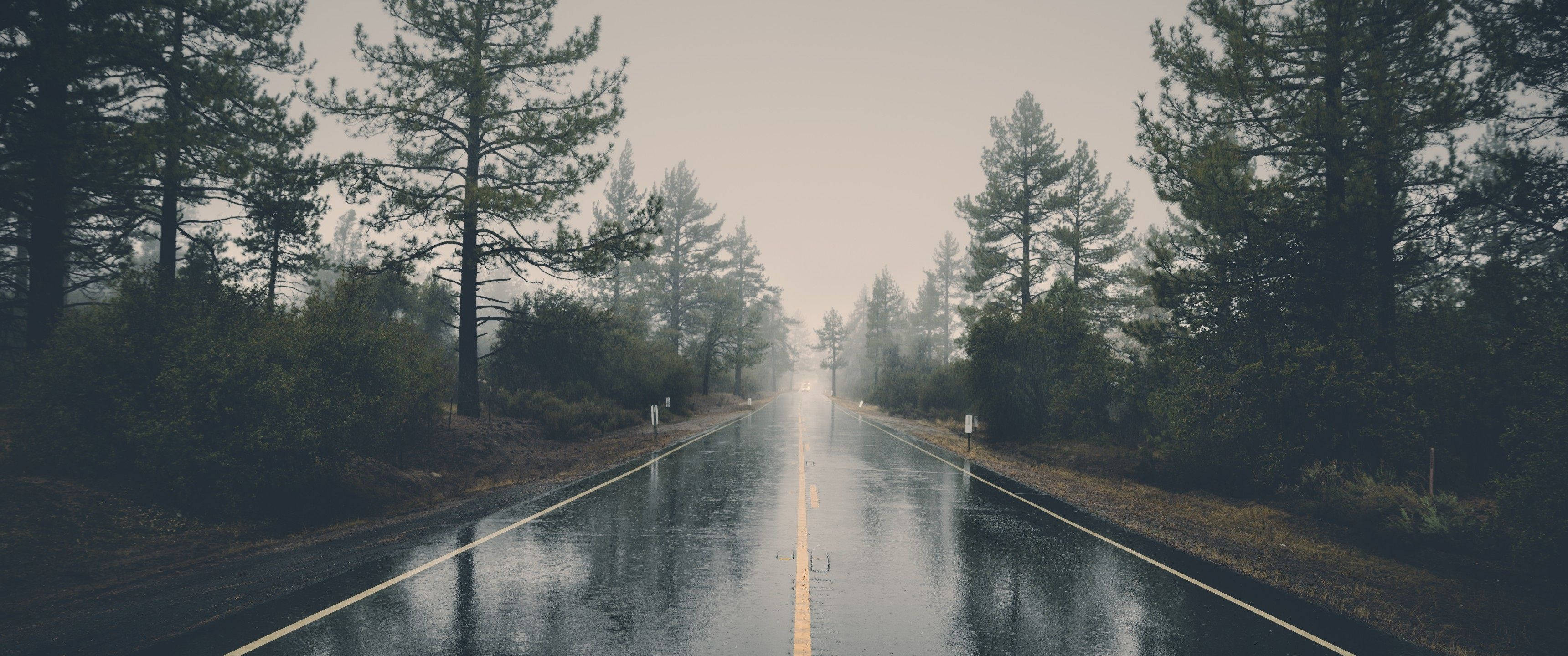 highway, pavement, wet asphalt road, 2K Desktop Wallpaper