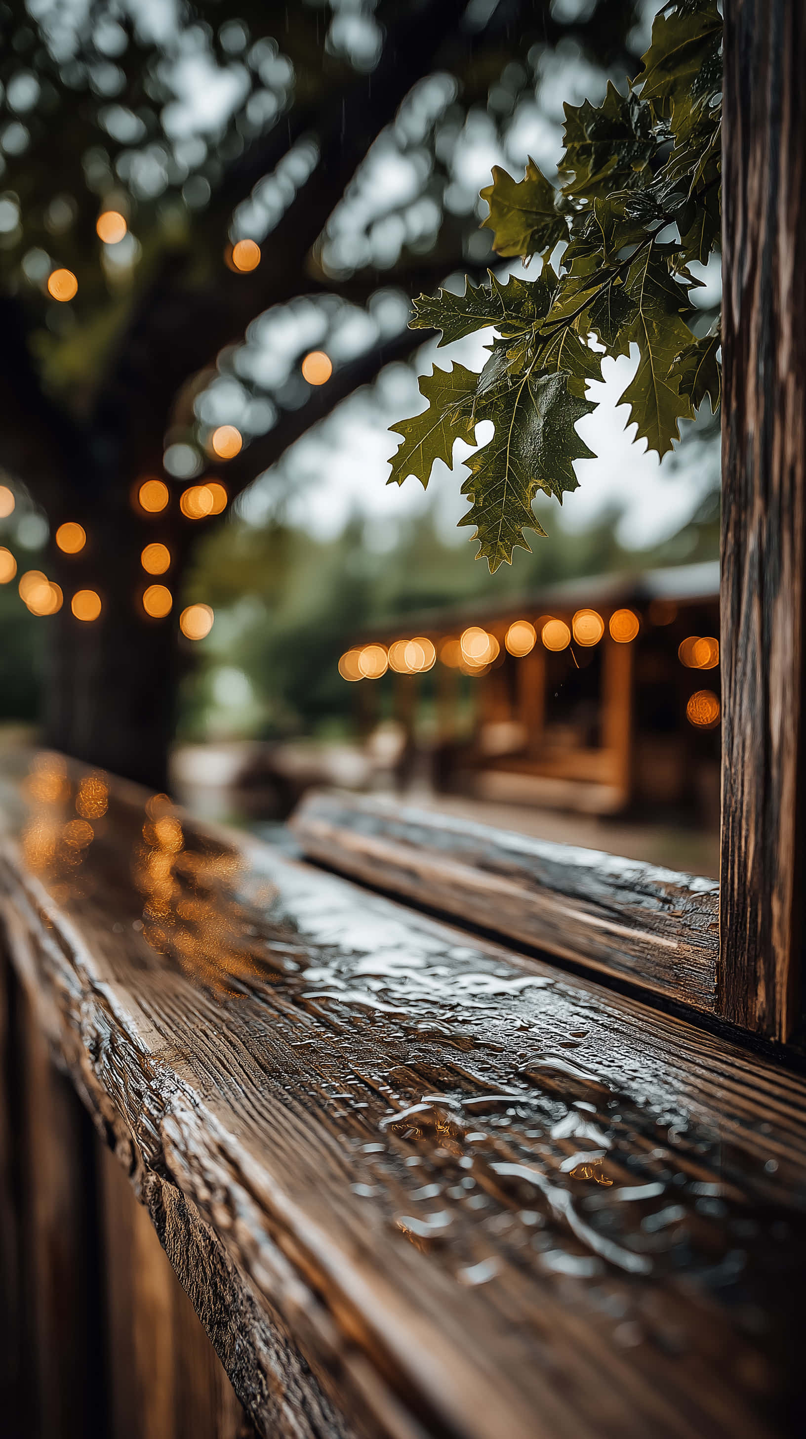 raindrops, weathered wooden railing, warm bokeh lights, 2K Phone Wallpaper
