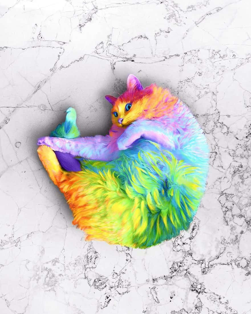 colorful fantasy cat, rainbow-colored cat, white marble surface, SD Phone Wallpaper