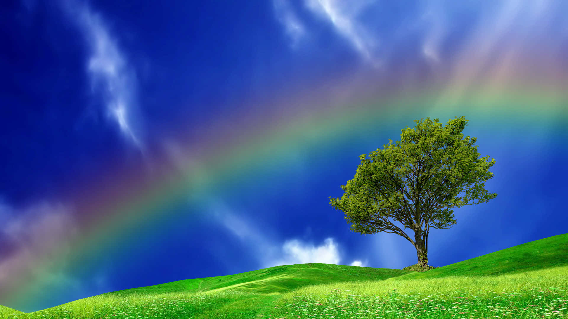lone tree, vibrant green hill, vivid blue sky, Full HD Desktop Wallpaper