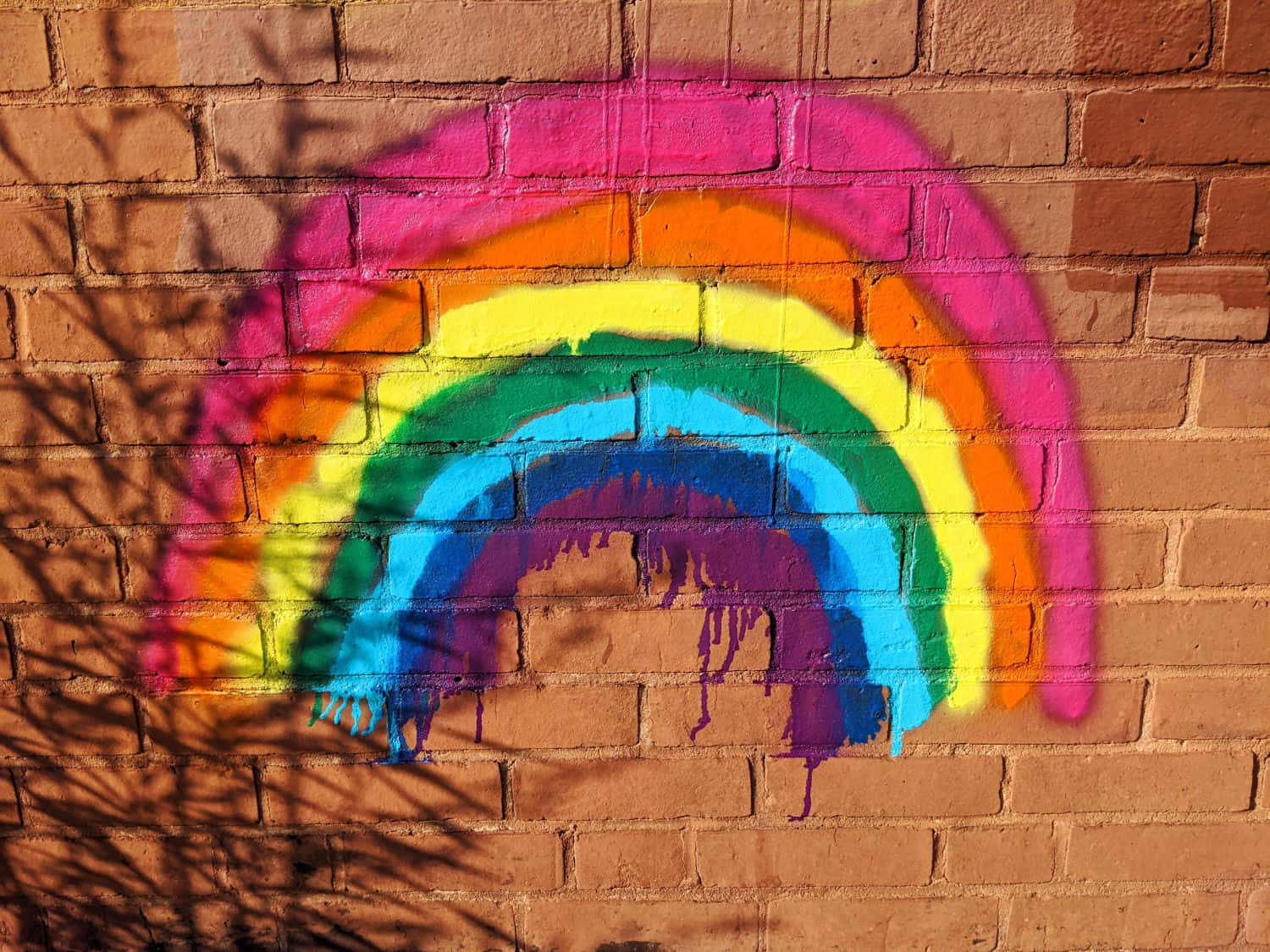 rainbow graffiti, brick wall, sunlit, HD Desktop Wallpaper