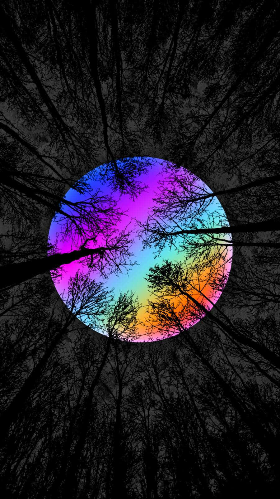 rainbow, circle, forest, HD Phone Wallpaper