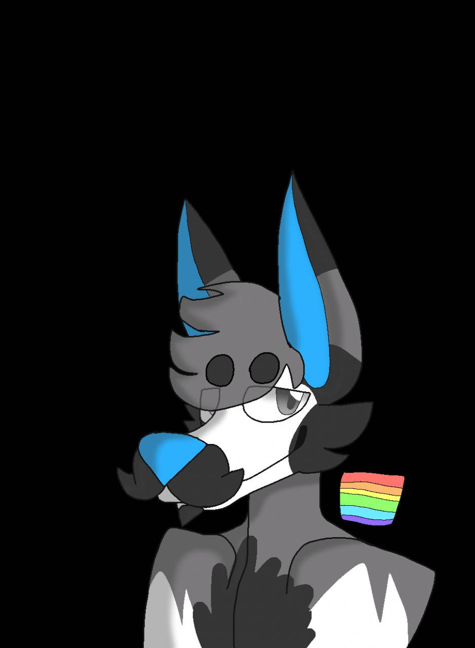 grey and blue wolf-like character, rainbow flag pin, black background, HD Phone Wallpaper