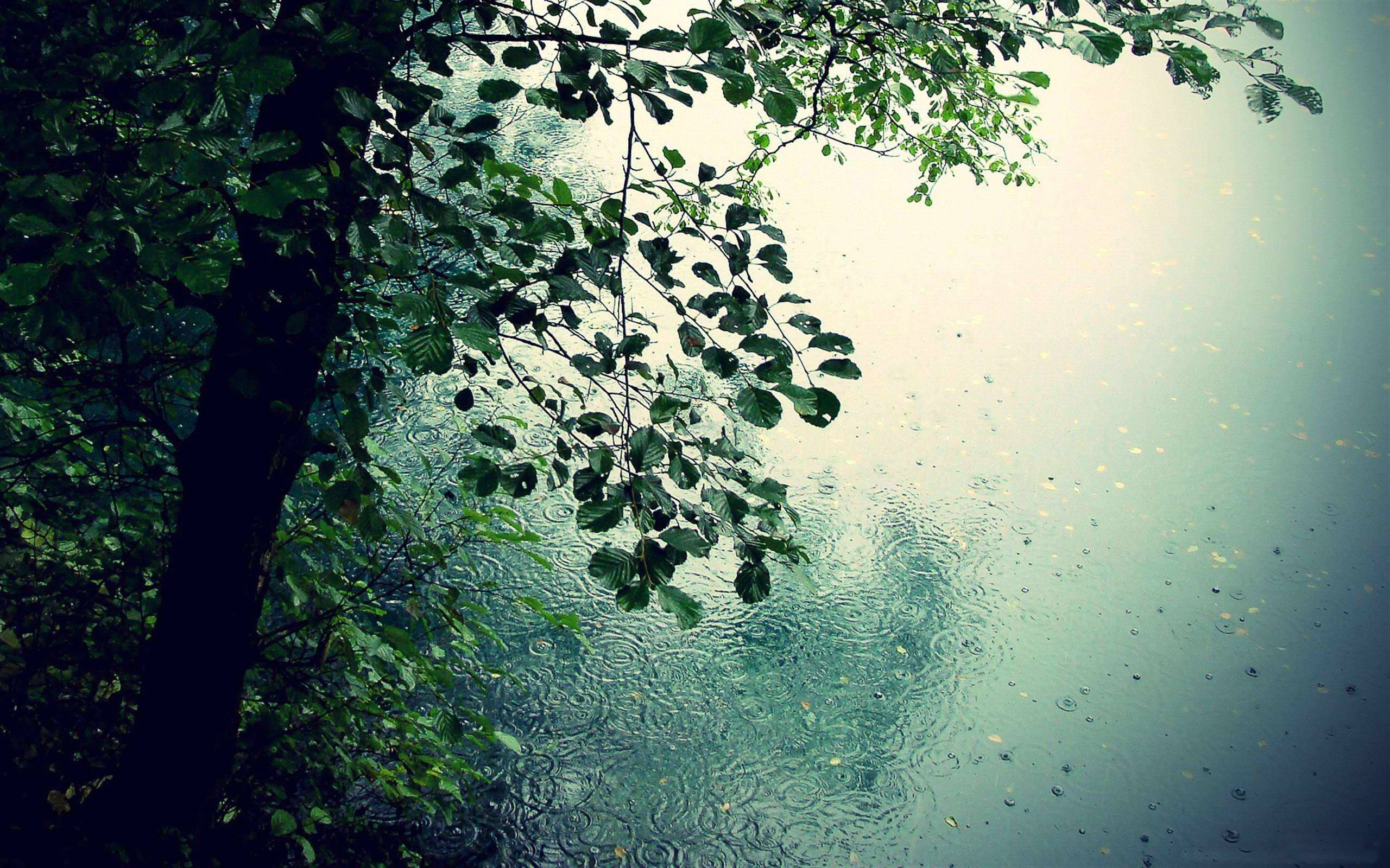 Raindrops, water surface ripples, calm lake, 2K Desktop Wallpaper