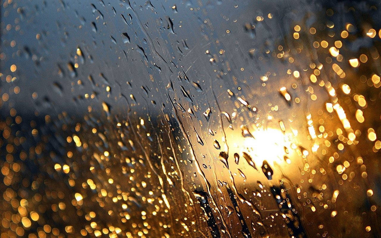Raindrops, glass, golden sunlight, HD Desktop Wallpaper