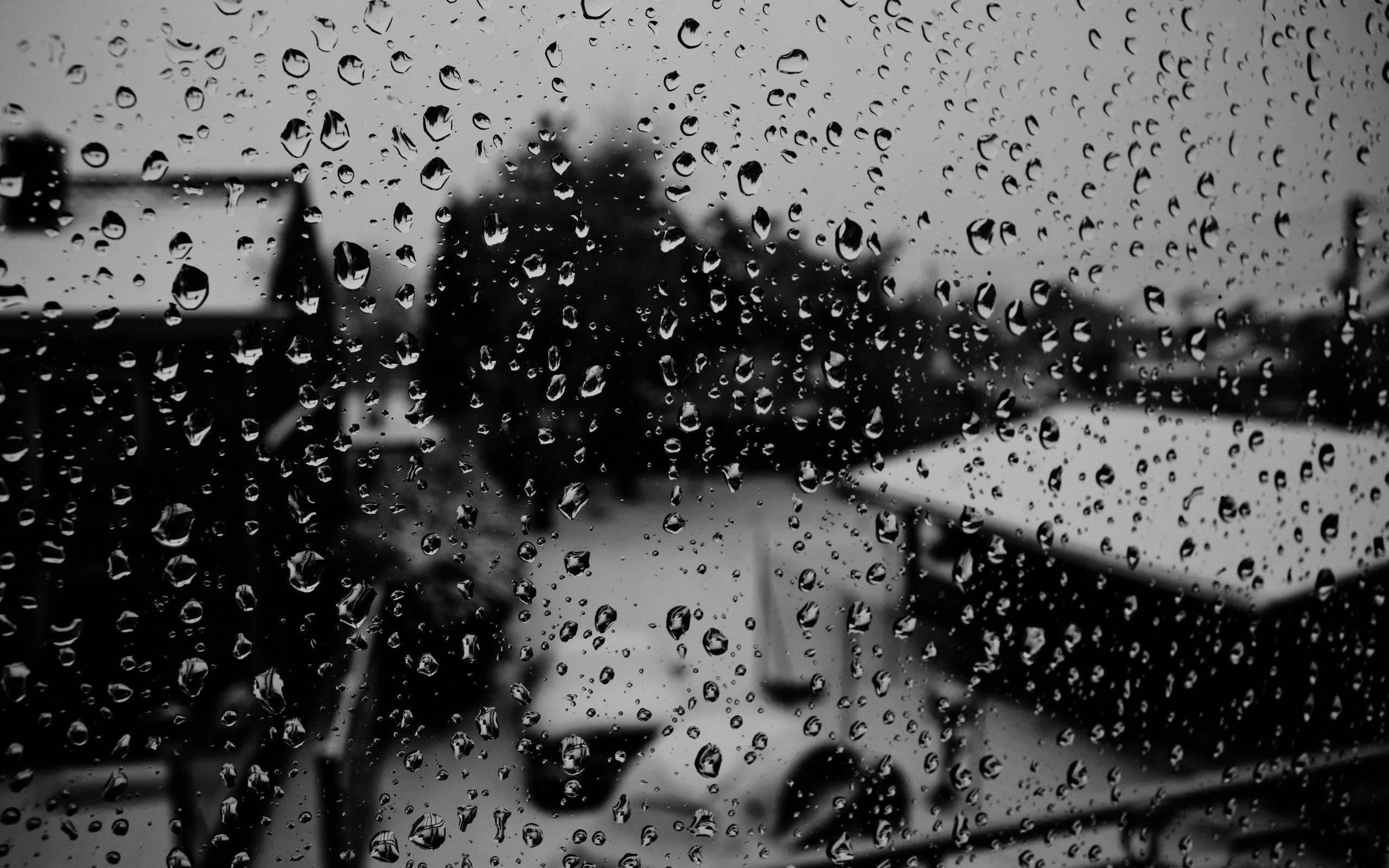 black and white, raindrops, glass surface, 2K Desktop Wallpaper