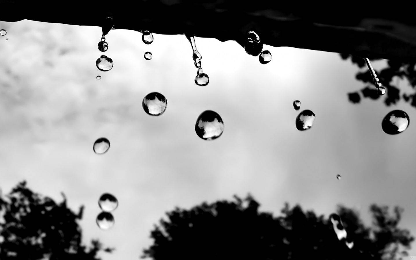 raindrops, roof, low angle, HD Desktop Wallpaper