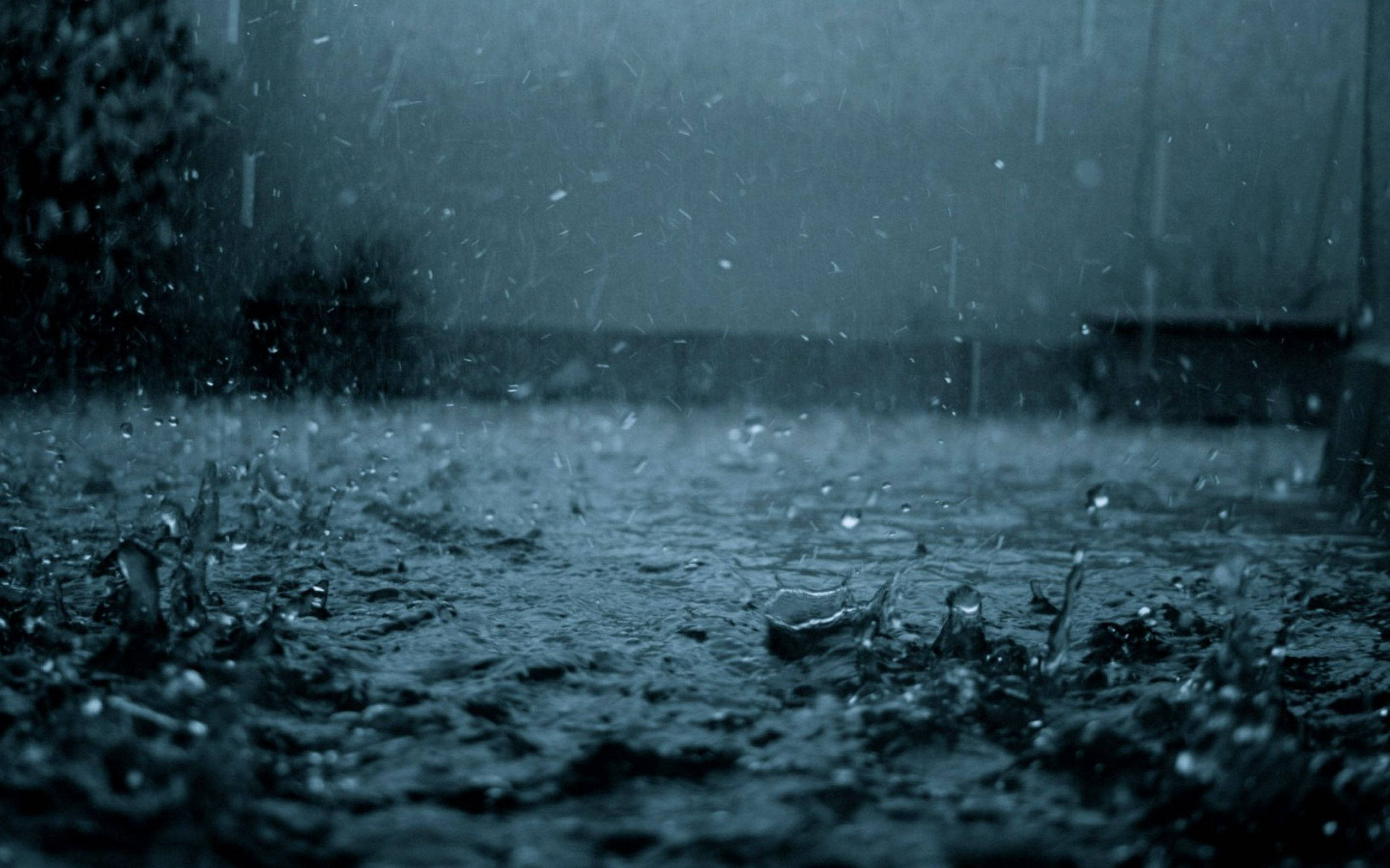 raindrops, wet pavement, dim blue-gray light, 2K Desktop Wallpaper