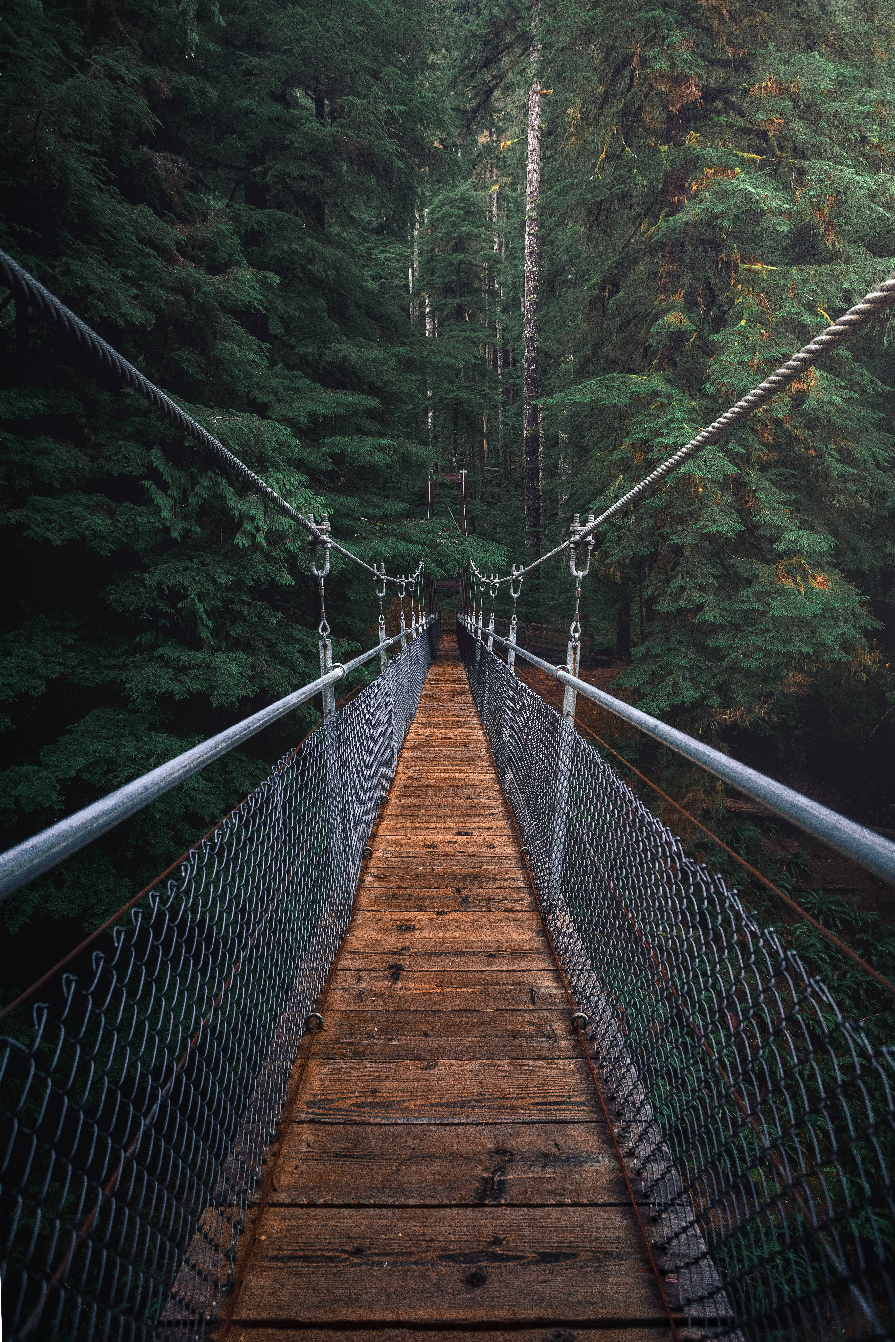 hanging bridge, wooden suspension bridge, chain-link sides, 5K Phone Wallpaper