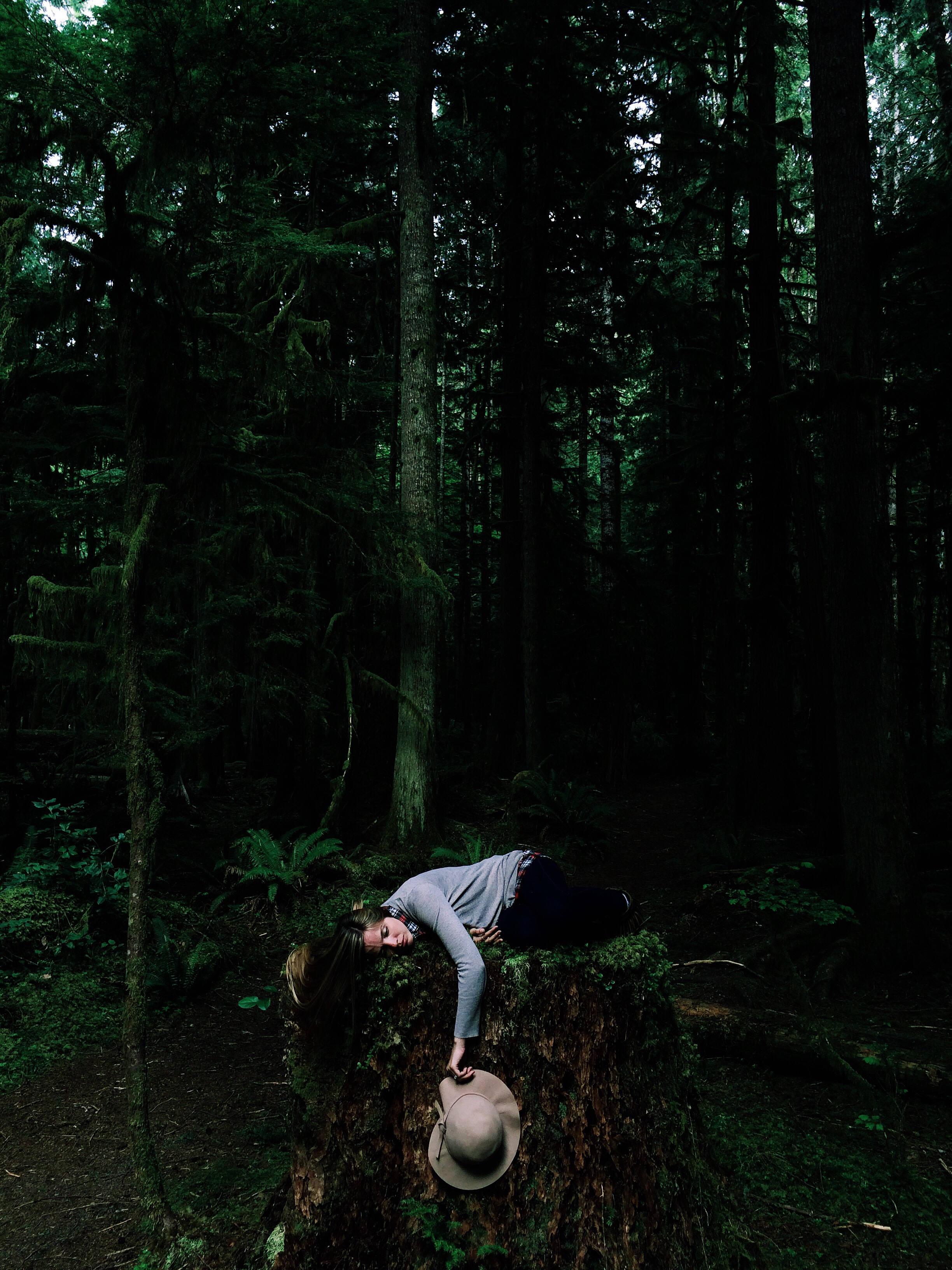 sleep in calm rainforest, mossy tree stump, dense forest, 2K Phone Wallpaper