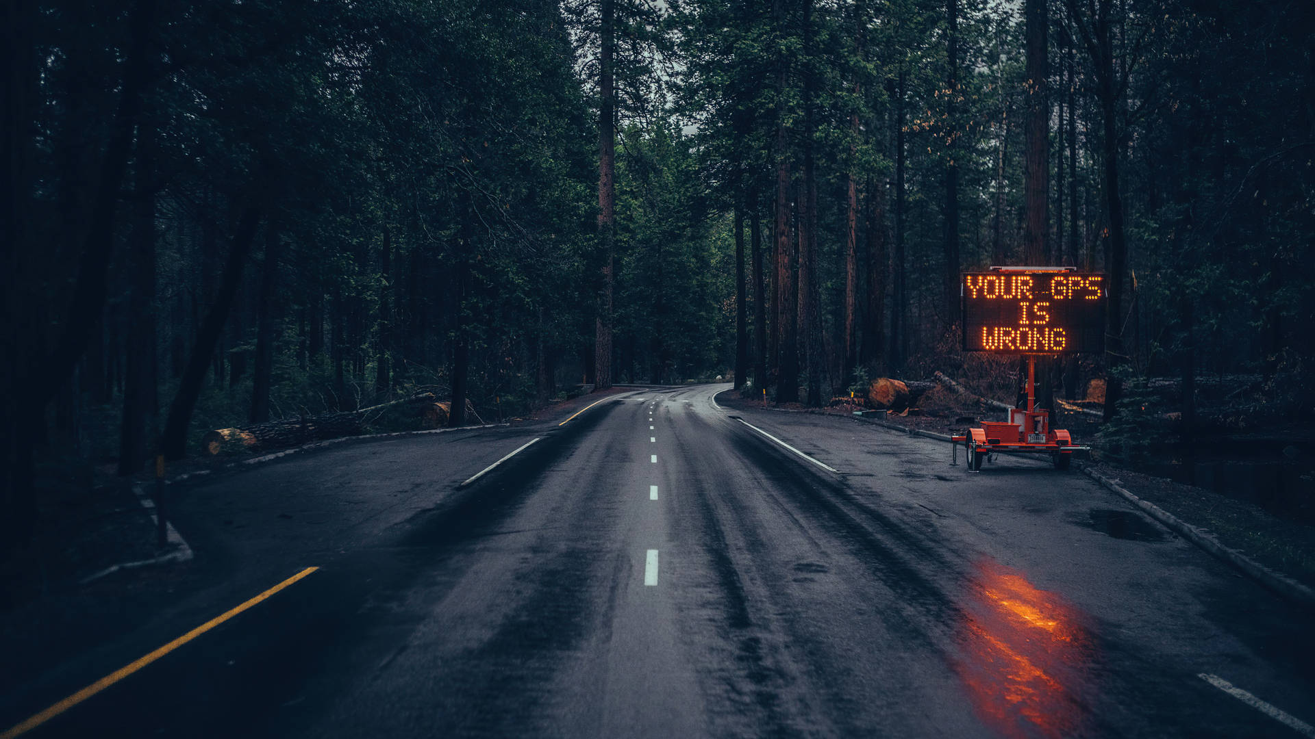 1920x1080, HD, rainforest road, Full HD Desktop Wallpaper