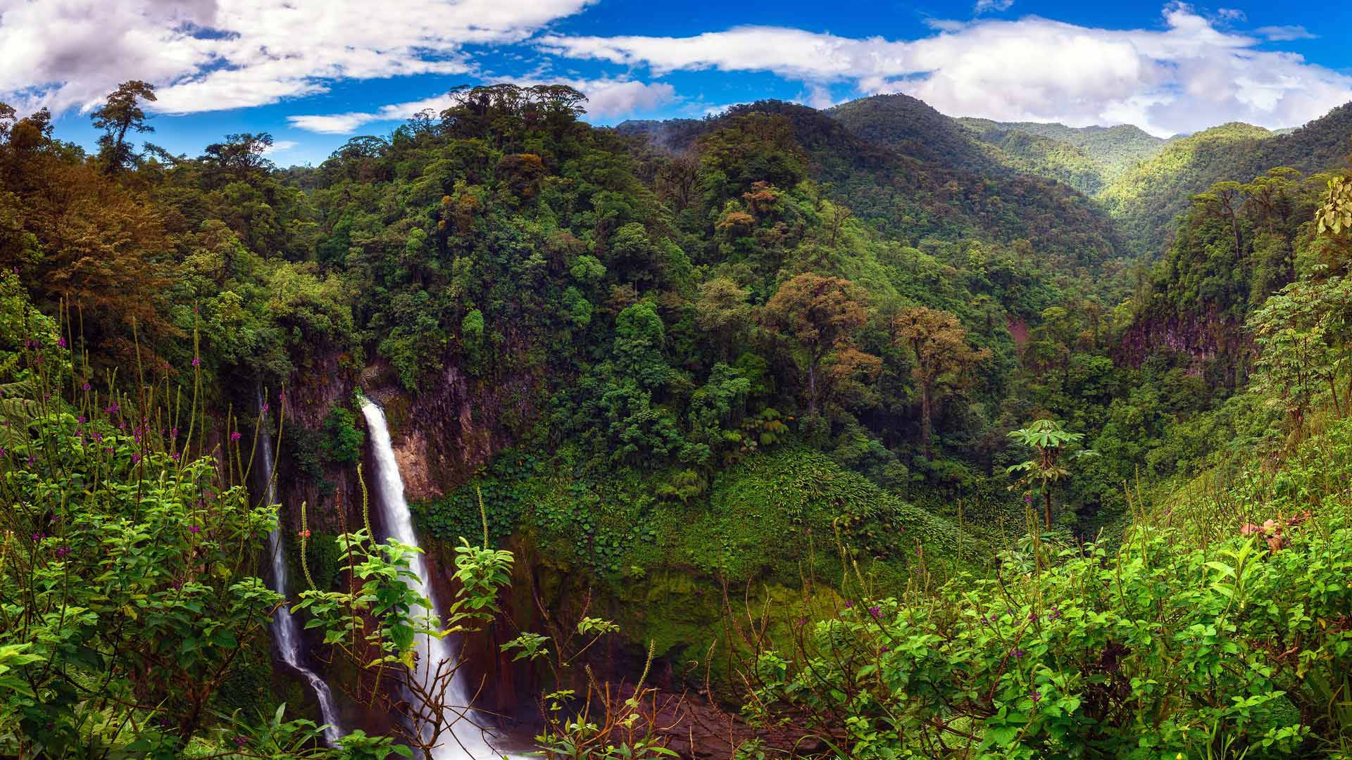 red soil, rainforest, waterfall, Full HD Desktop Wallpaper
