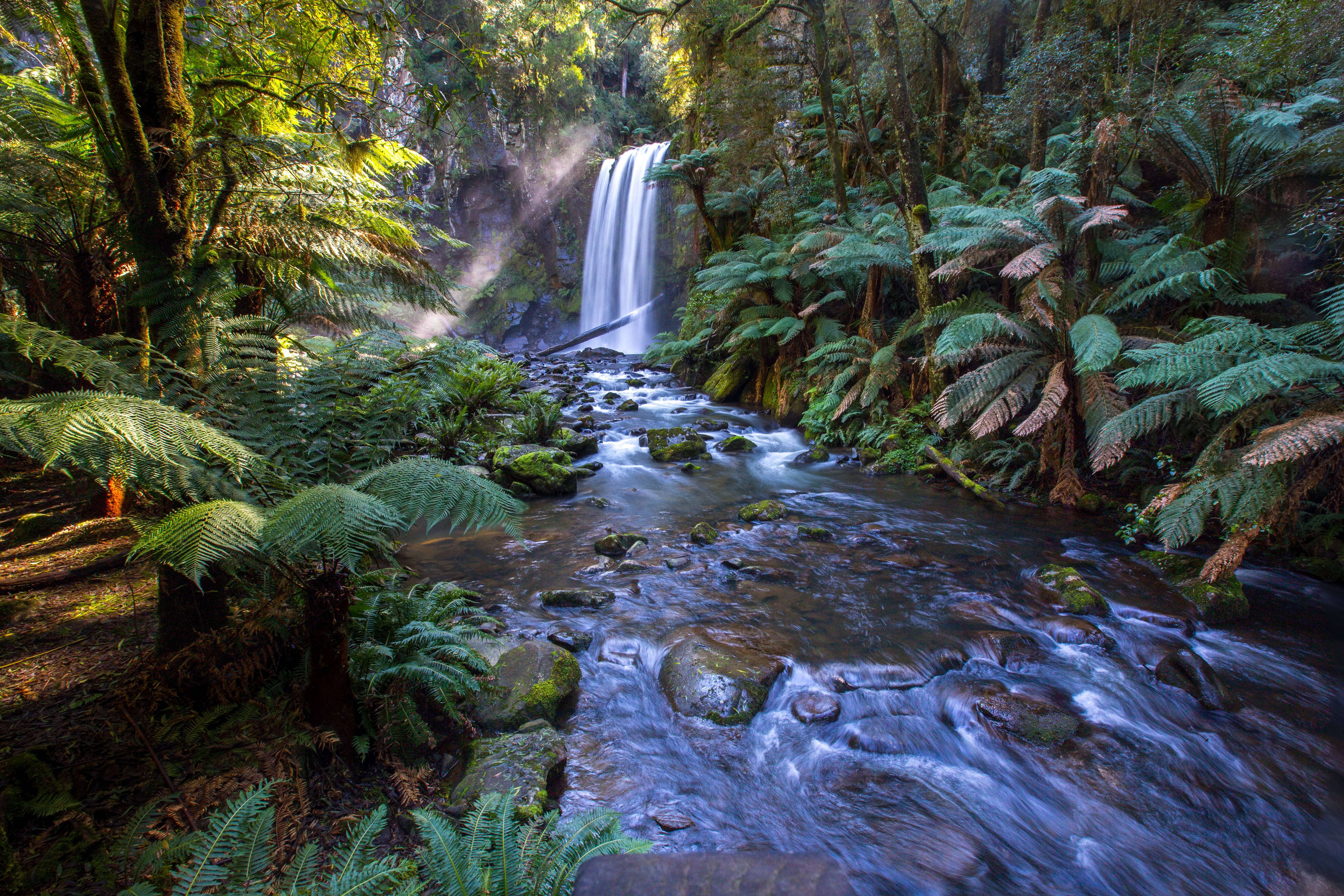 Stream, Rainforest, Waterfall, 5K Desktop Wallpaper