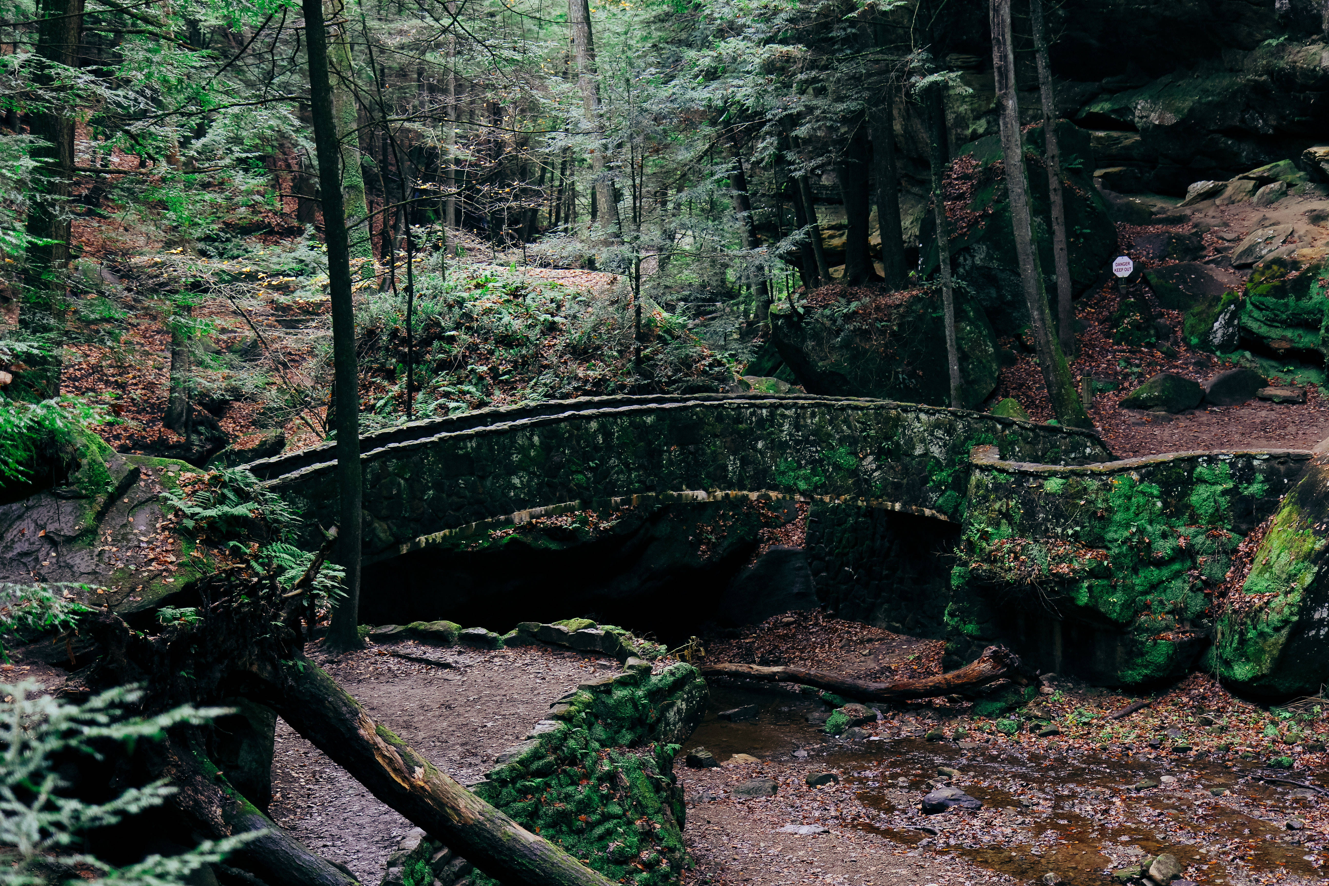 abandoned bridge, rainforest, moss-covered stone bridge, 5K Desktop Wallpaper