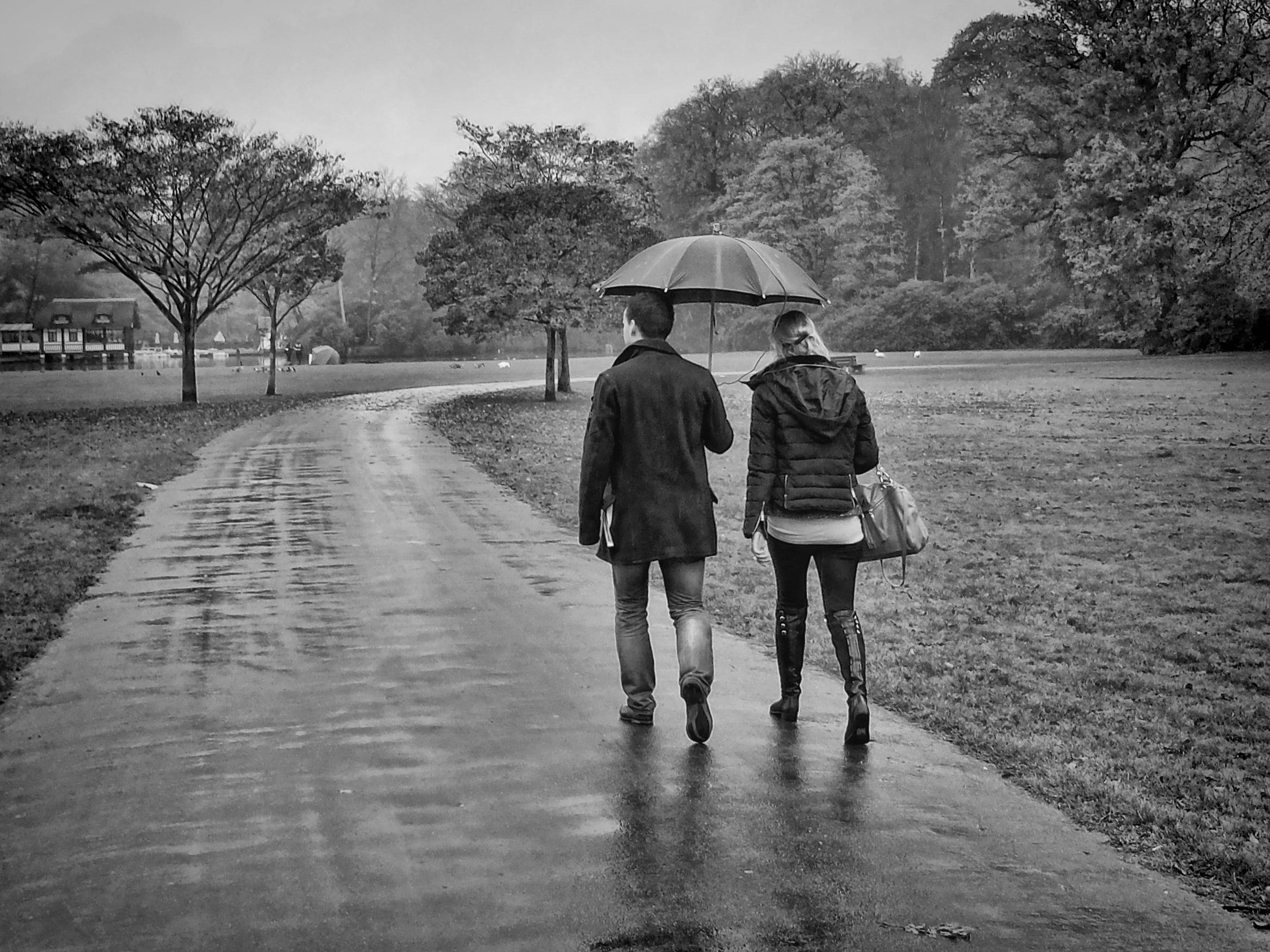 couple, wet park path, single umbrella, 2K Desktop Wallpaper