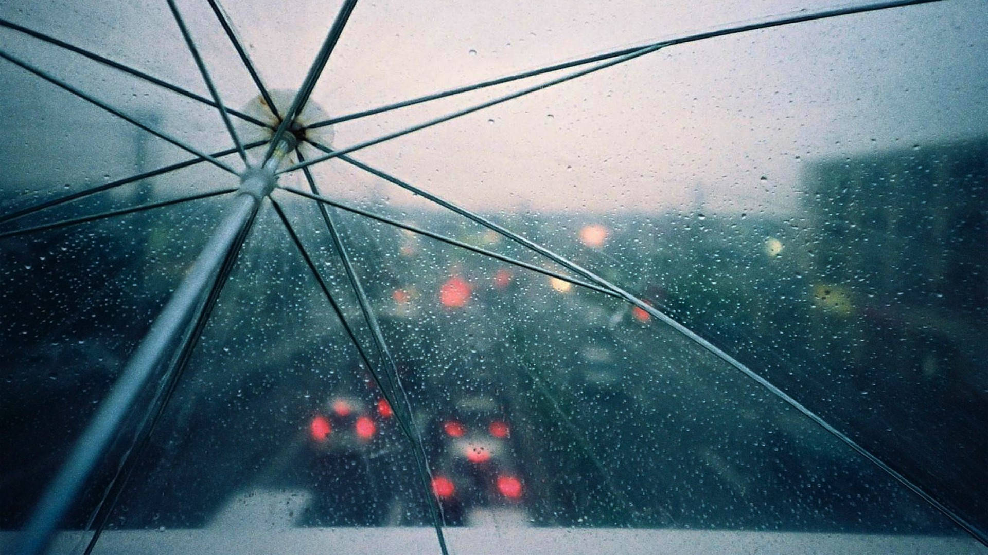 see through umbrella, transparent umbrella canopy, raindrops, Full HD Desktop Wallpaper