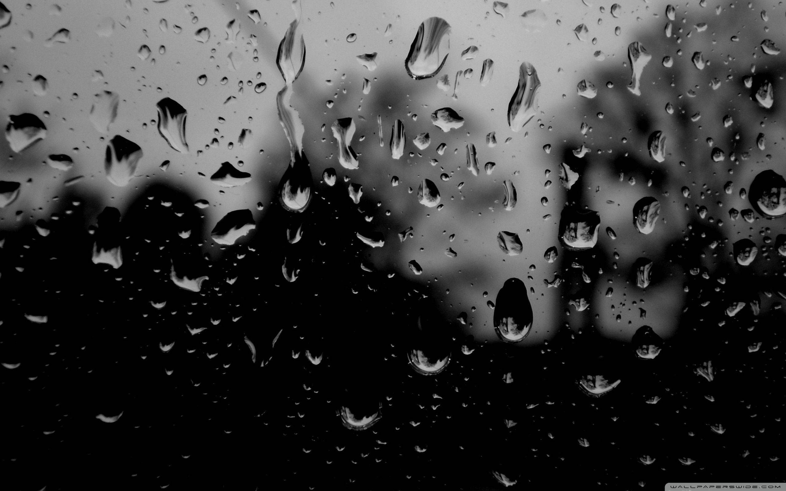 dark rain droplets, windowpane, dark silhouette, 2K Desktop Wallpaper