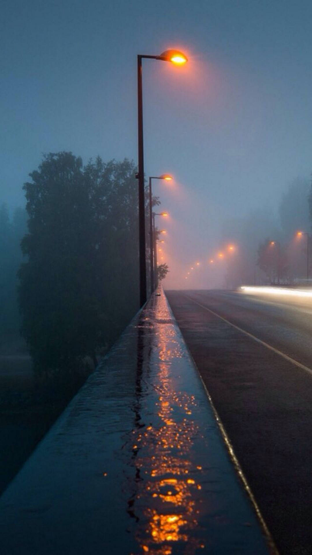 misty dawn road, glowing streetlights, wet pavement, Full HD Phone Wallpaper