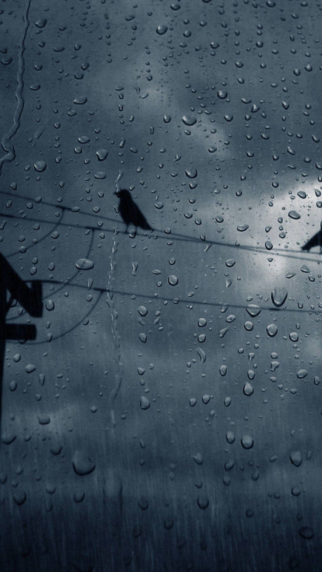 rain-splattered window, stormy sky, lone bird, HD Phone Wallpaper