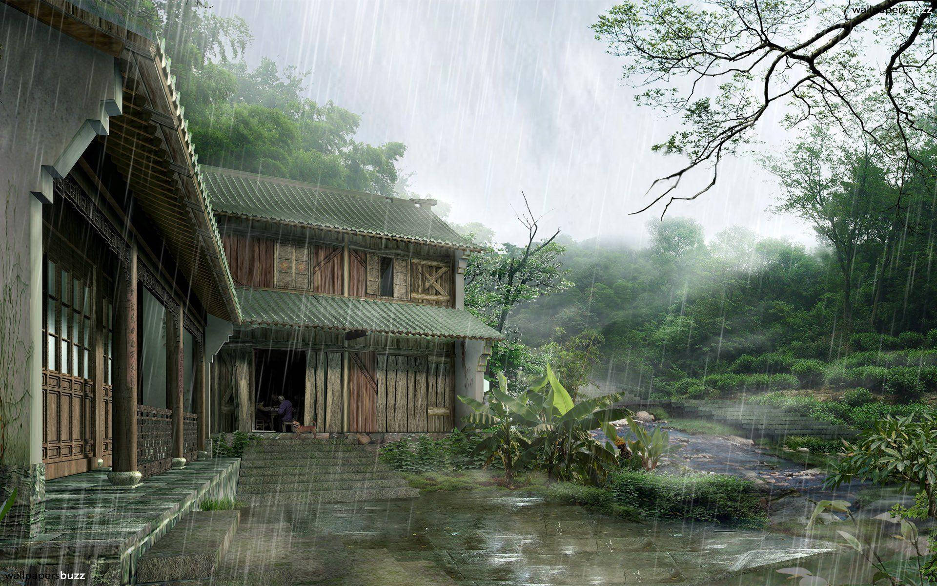 wooden house, lush green forest, heavy rain, Full HD Desktop Wallpaper