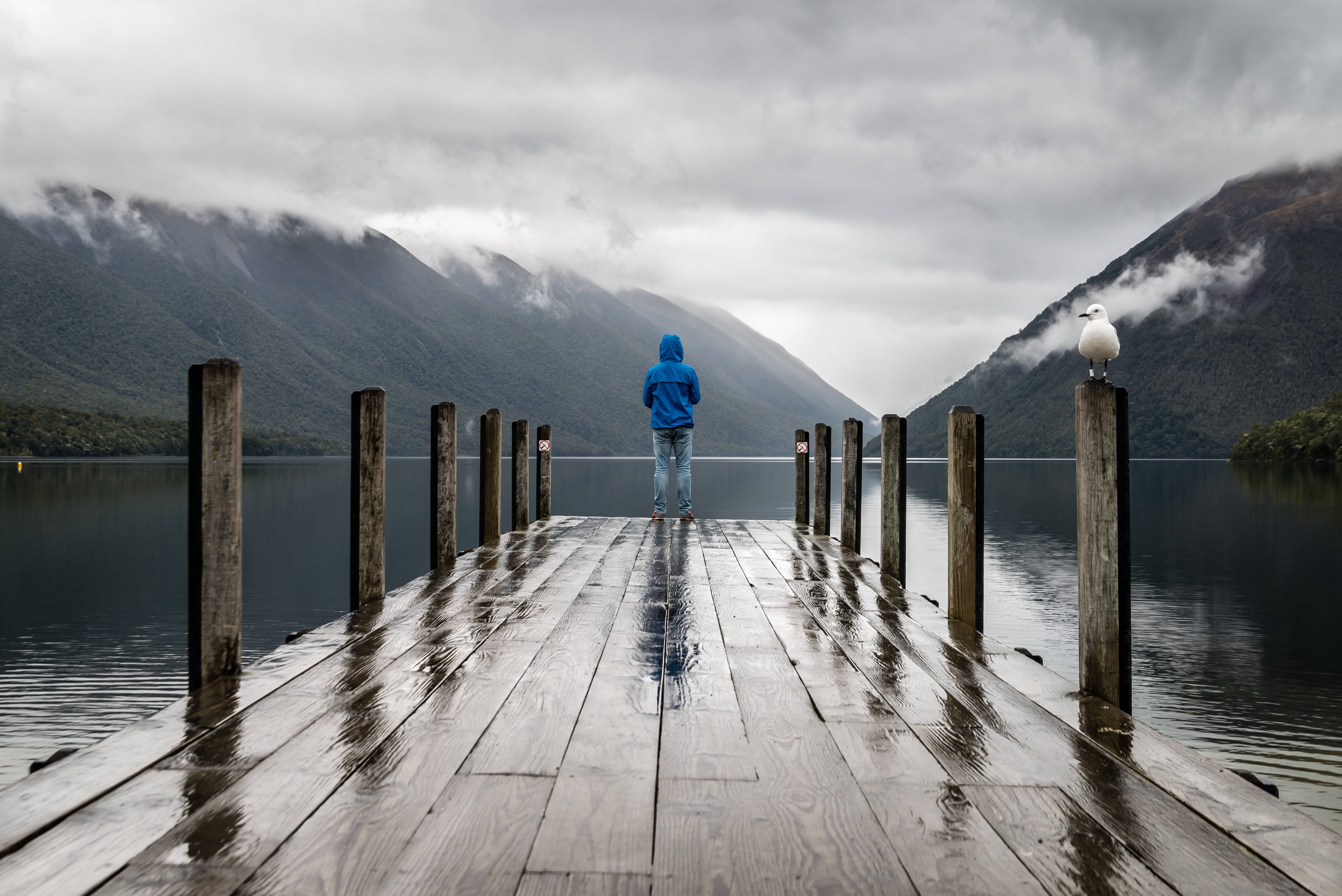 Rain, nature, wooden dock, 5K Desktop Wallpaper