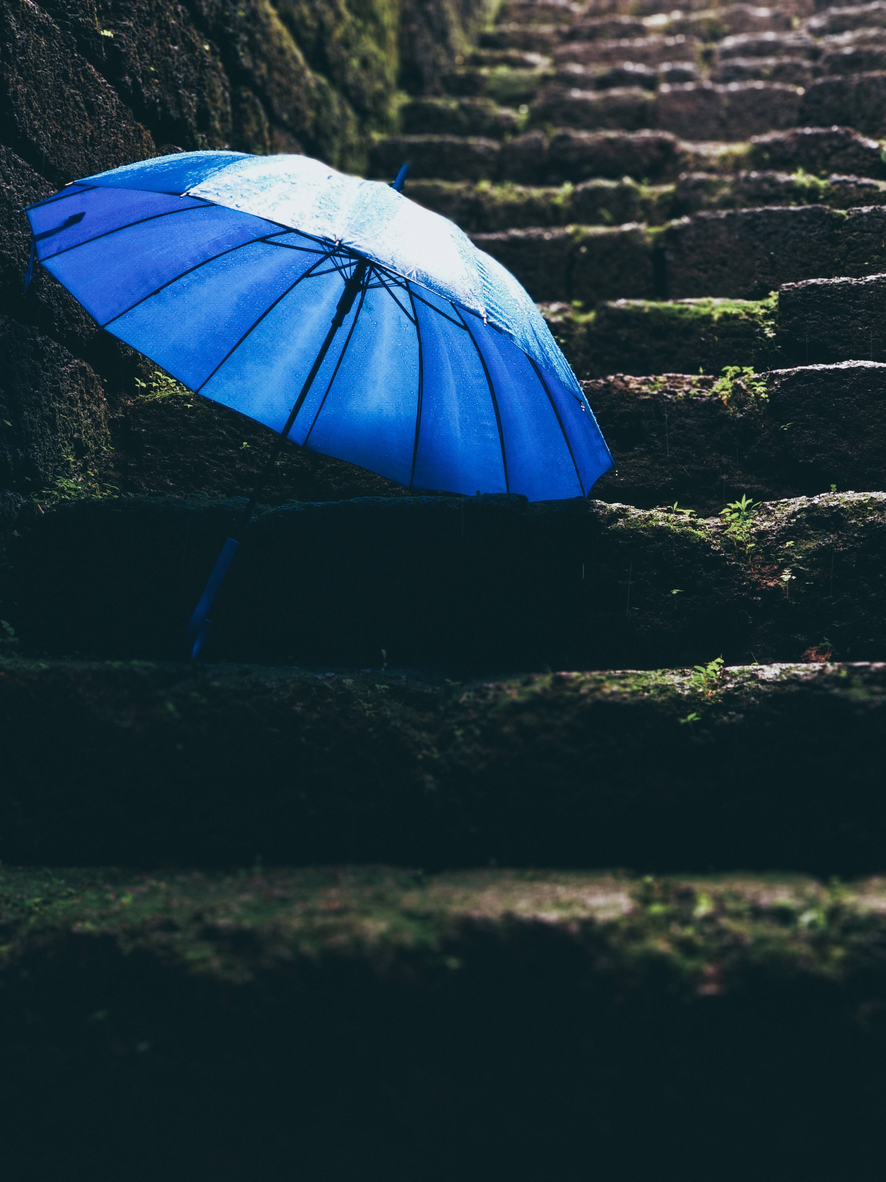 Rain Nature, blue umbrella, mossy stone steps, 4K Phone Wallpaper