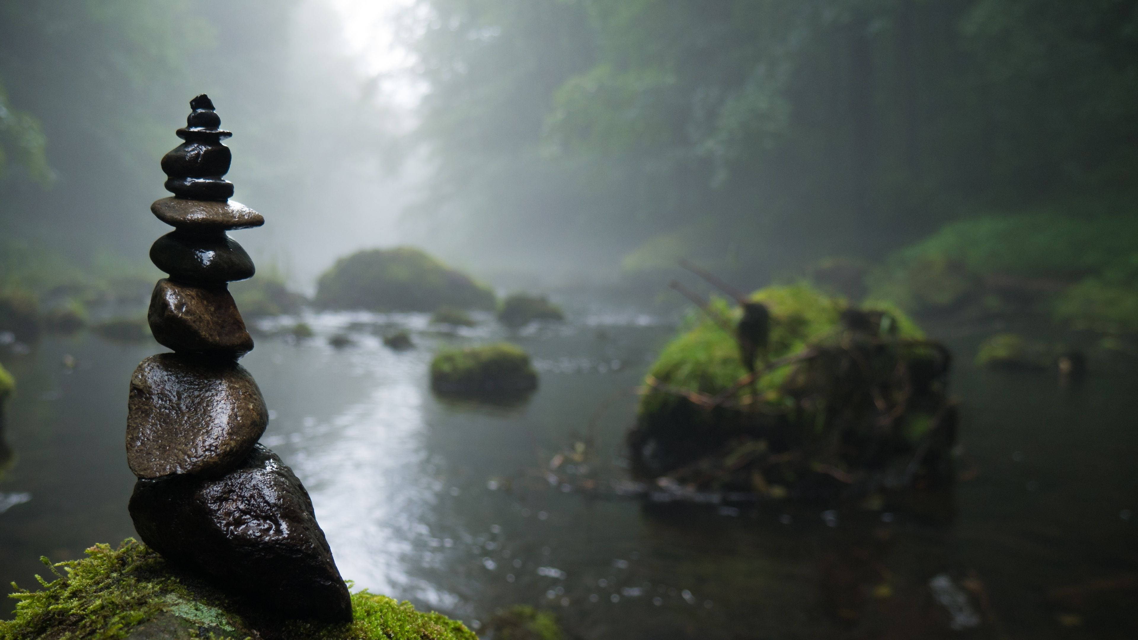 Rain Nature Stones, mossy ground, misty forest stream, 4K Desktop Wallpaper