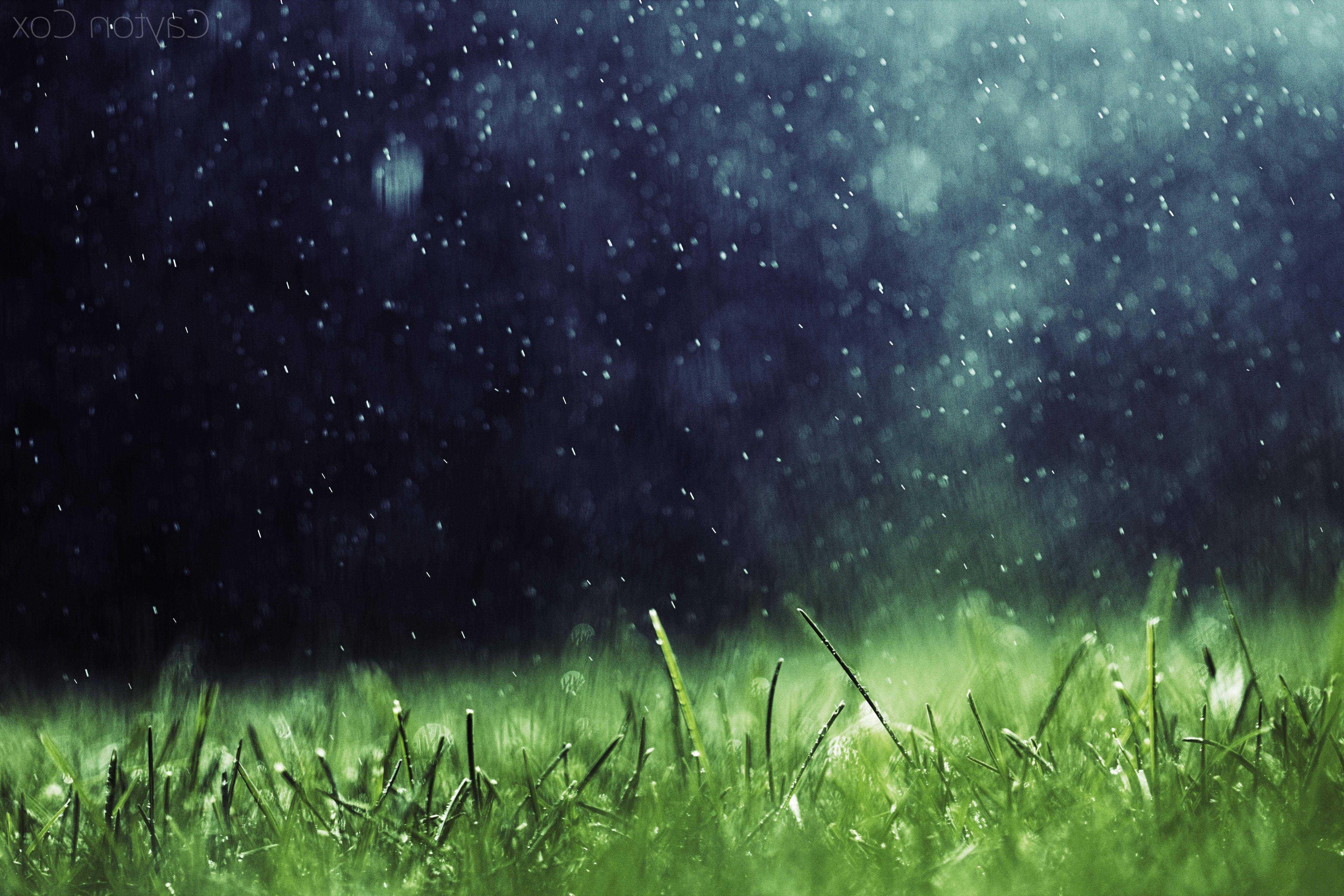 Rain, dark sky, vibrant green grass, 5K Desktop Wallpaper
