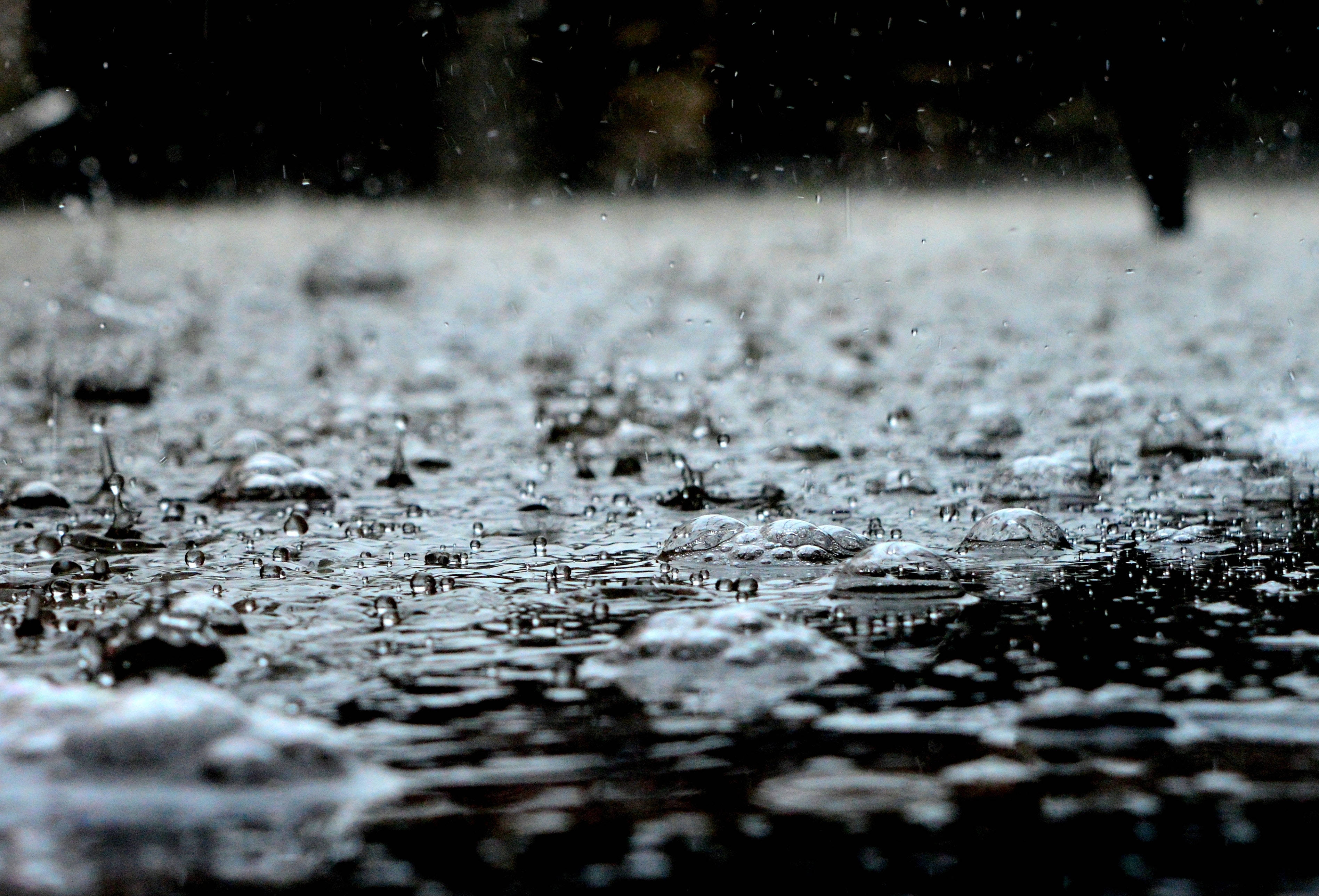 raindrops, wet pavement, dim light, 2K Desktop Wallpaper