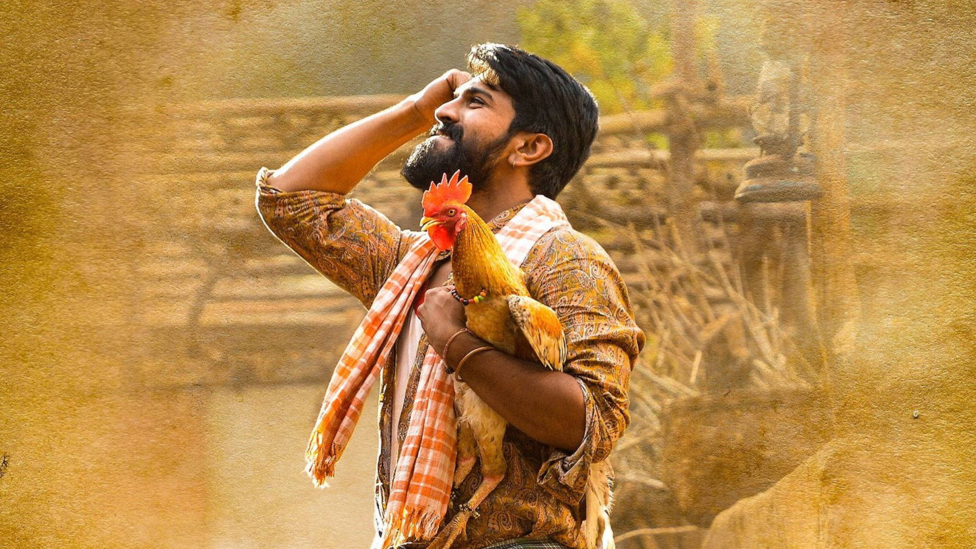 Ram Charan, rooster, golden sunlight, Full HD Desktop Wallpaper