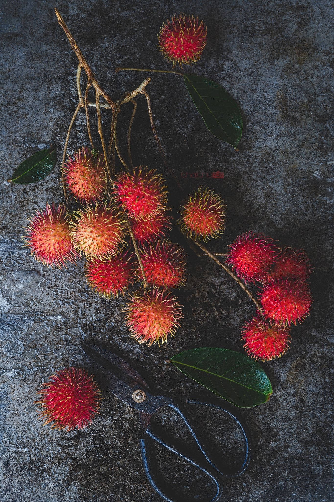 Rambutan, spiky hairs, dark textured surface, Full HD Phone Wallpaper