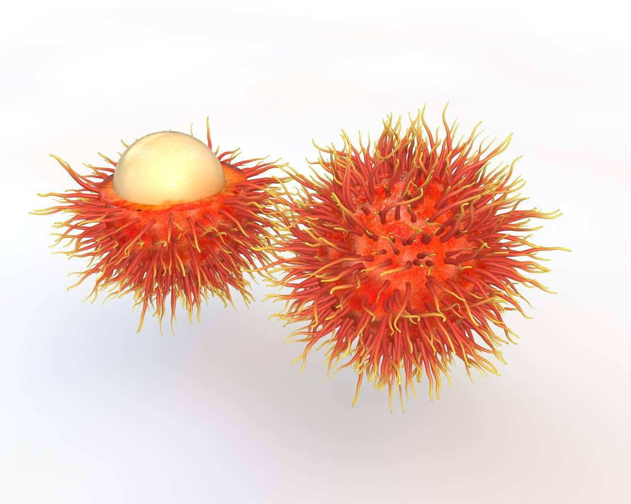 Rambutan, vibrant red, spiky hairs, HD Desktop Wallpaper