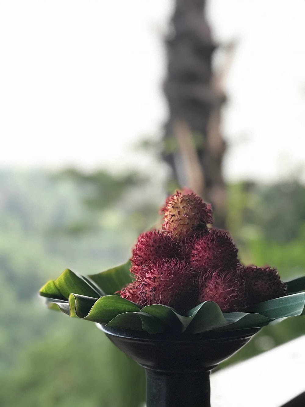rambutan, banana leaves, black bowl, HD Phone Wallpaper