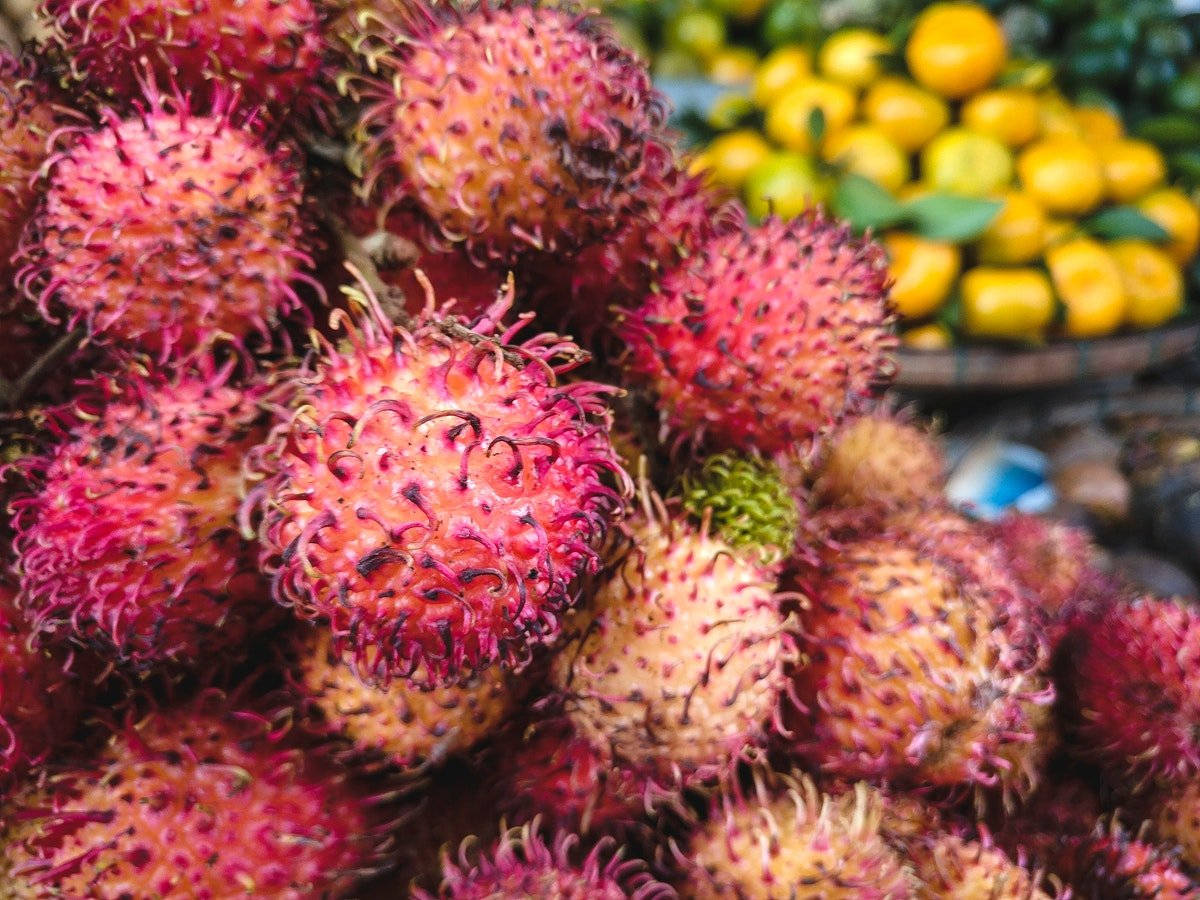 Rambutan, Kumquat, pink spiky rambutans, SD Desktop Wallpaper