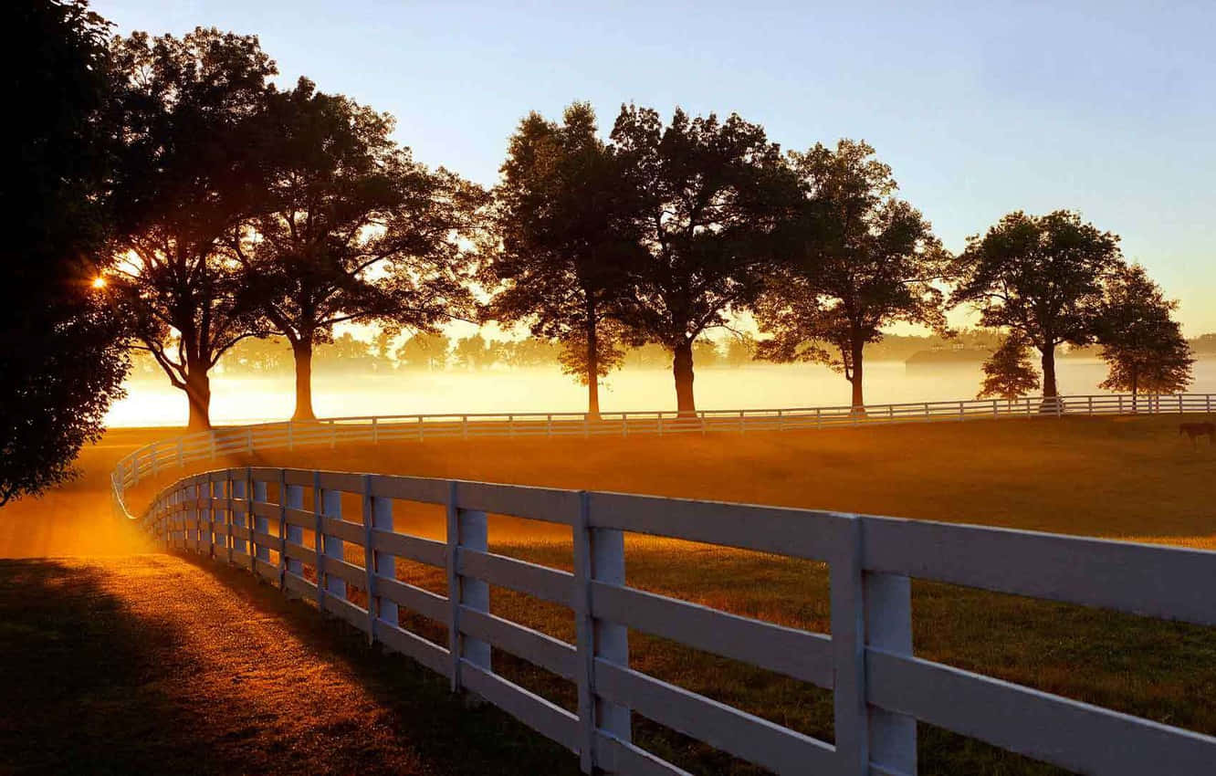 Ranch, white fence, misty sunrise, HD Desktop Wallpaper