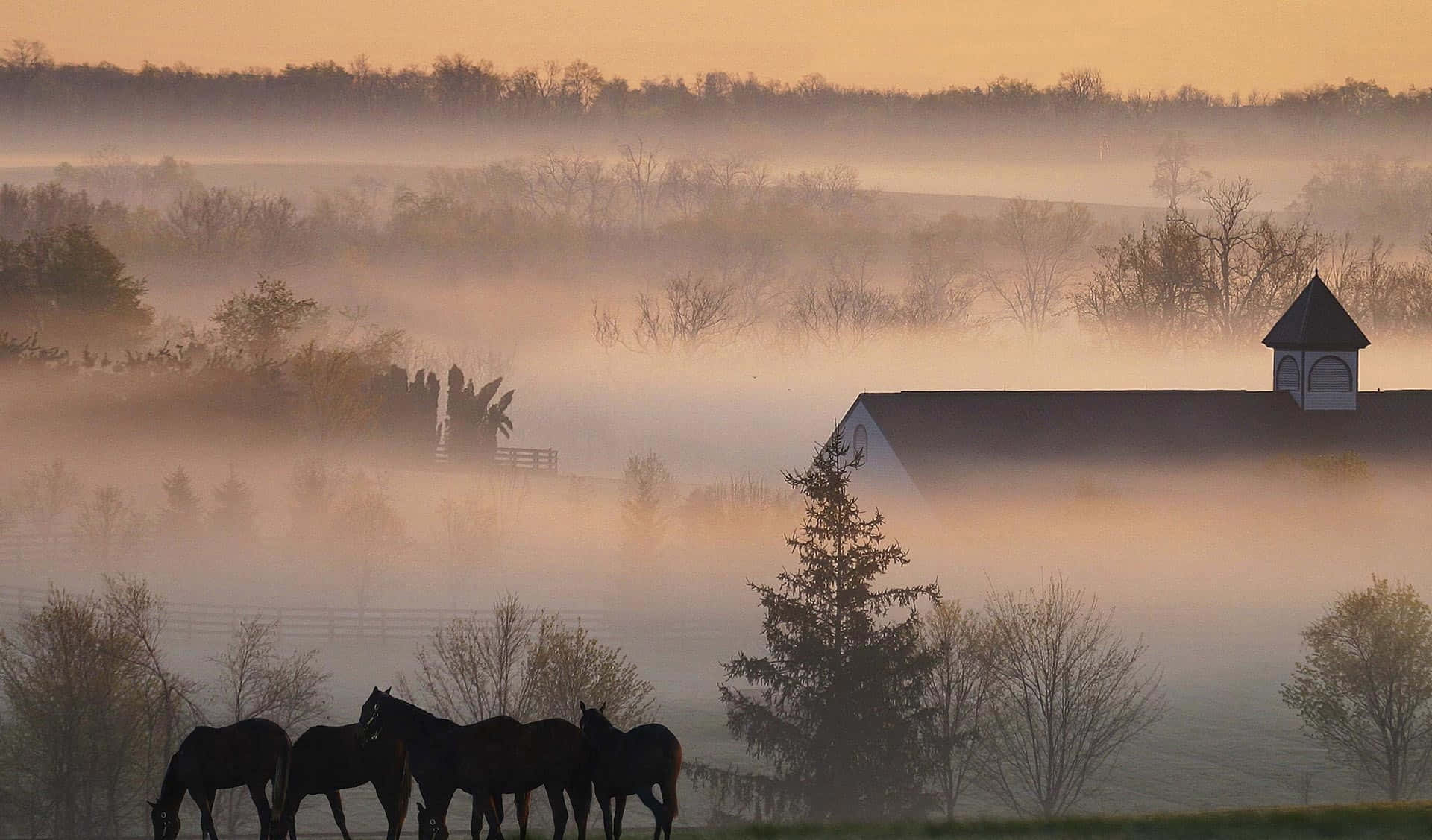 ranch, barn, cupola, Full HD Desktop Wallpaper