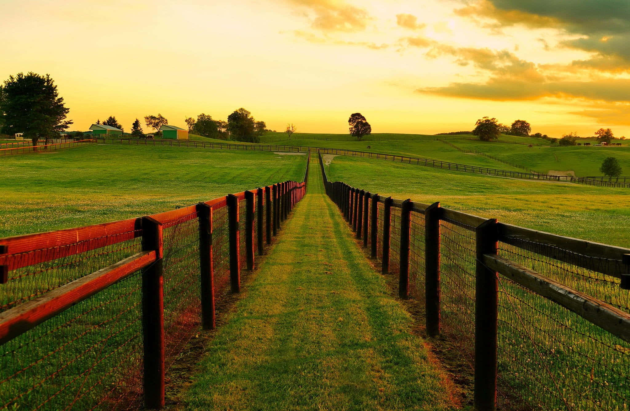 Ranch, golden sunset sky, wooden fence, Full HD Desktop Wallpaper