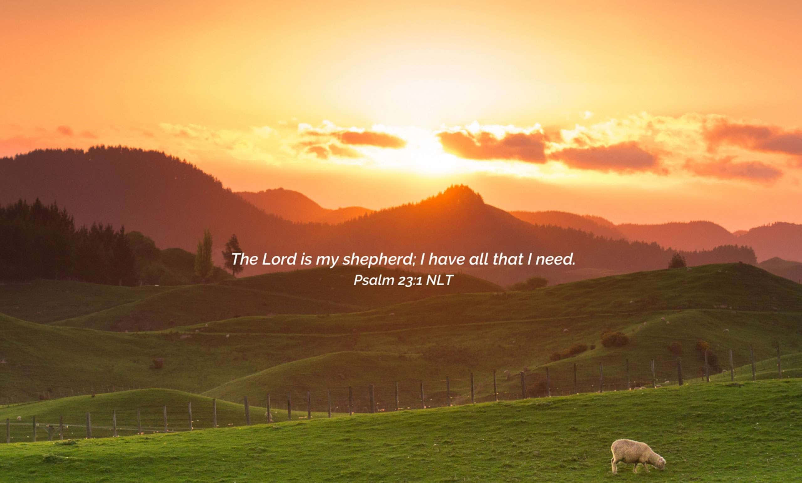 Ranch, sunlit green field, sunset, 2K Desktop Wallpaper